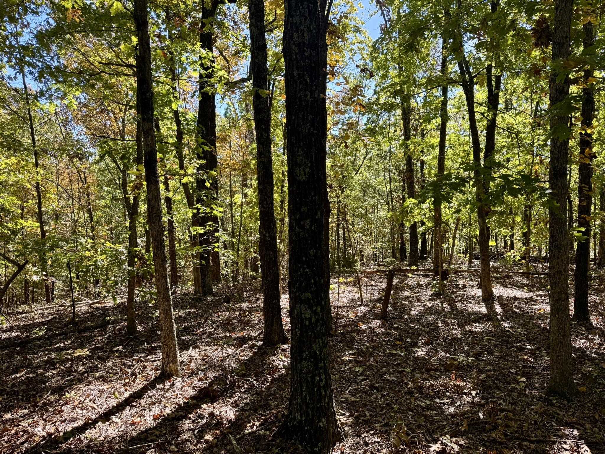 14A Highway 58  Sidney, AR