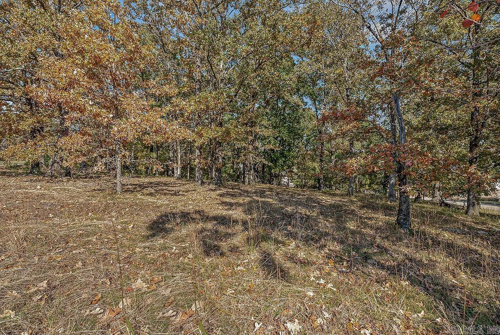 2706 Ridgepointe Blvd  Jonesboro, AR