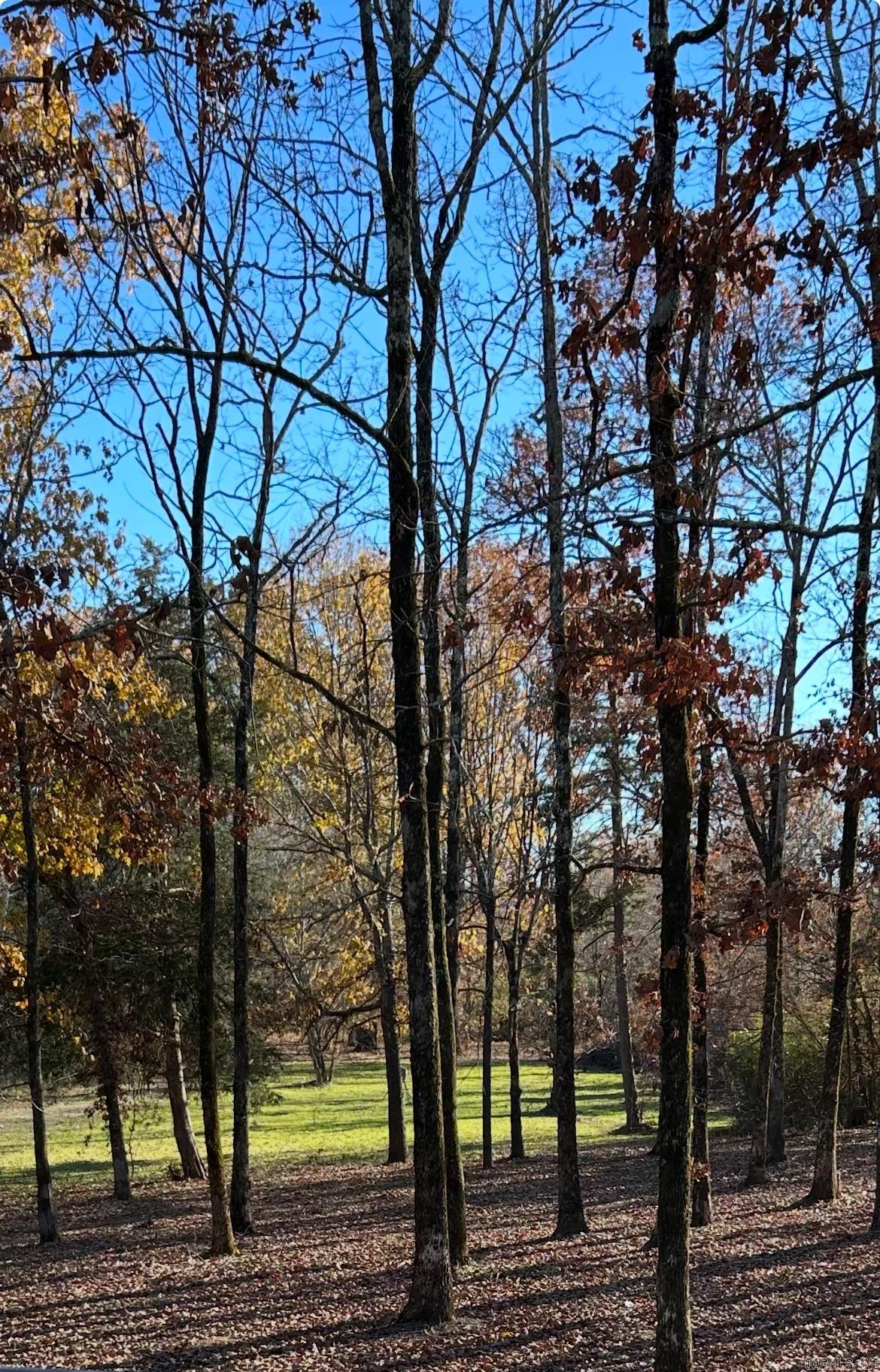 1230 Industrial Park Rd  Heber Springs, AR