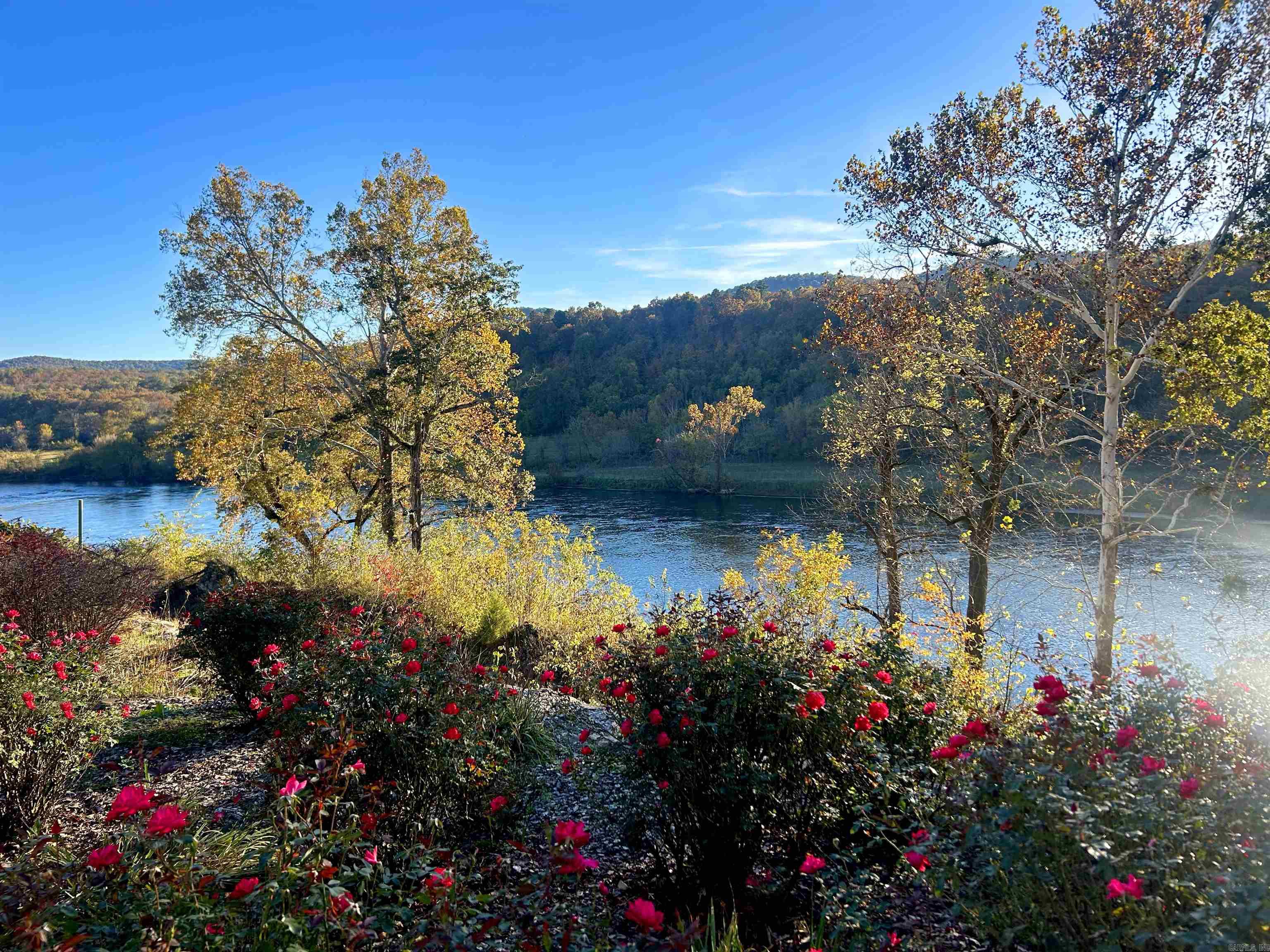 161 Jaguar Drive  Mountain Home, AR