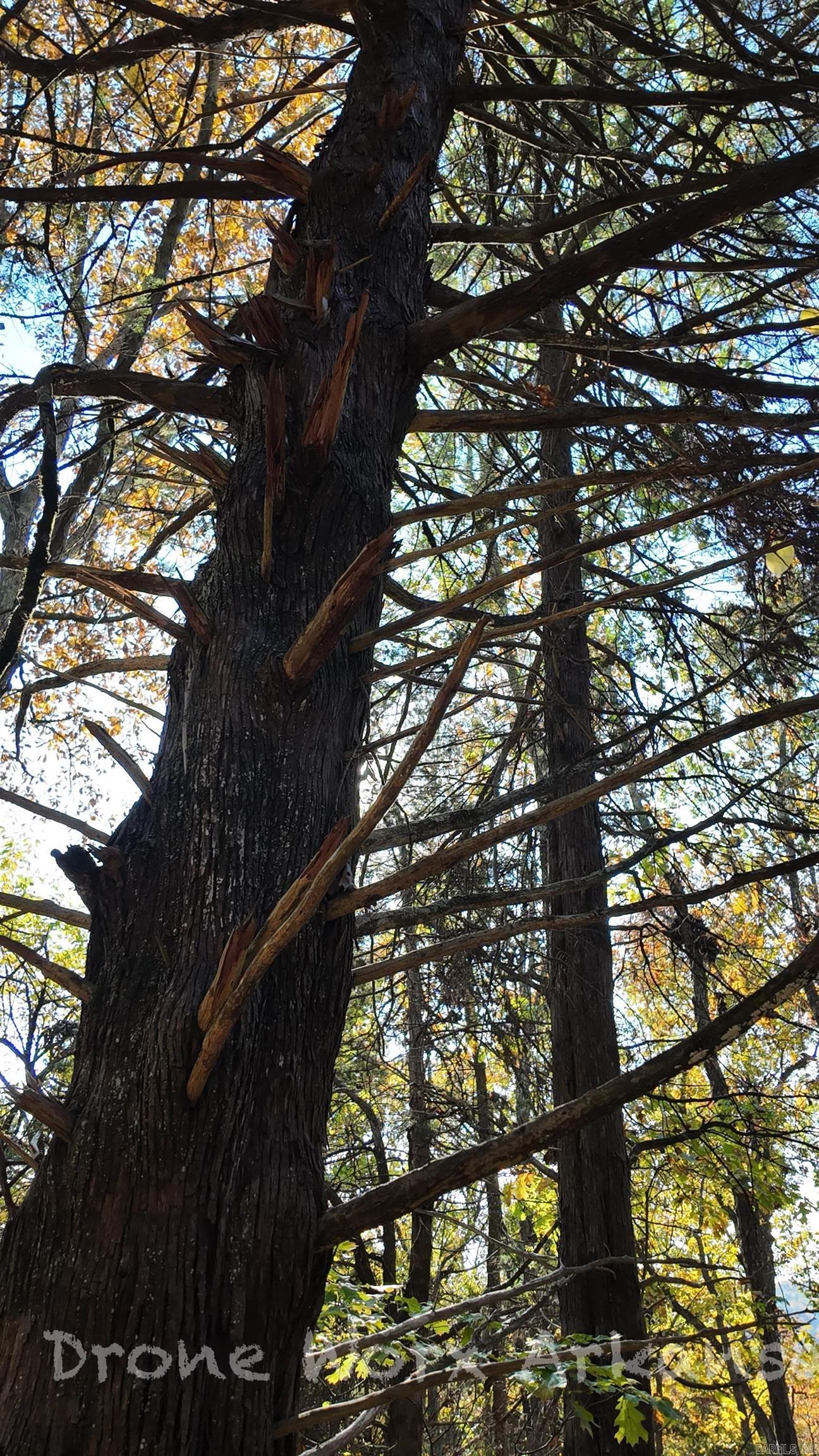 000 Range  Marshall, AR