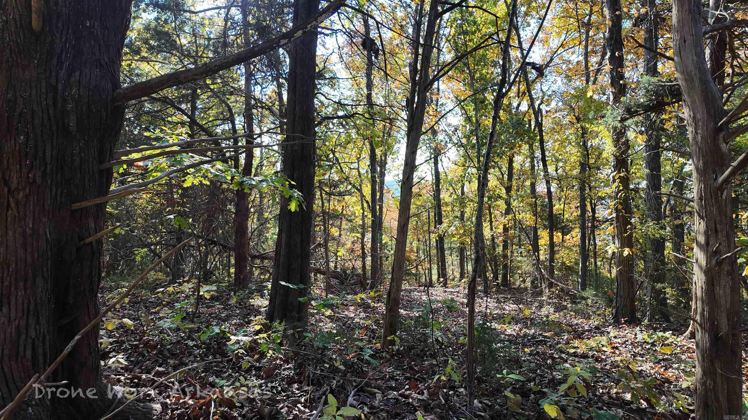 000 Range  Marshall, AR