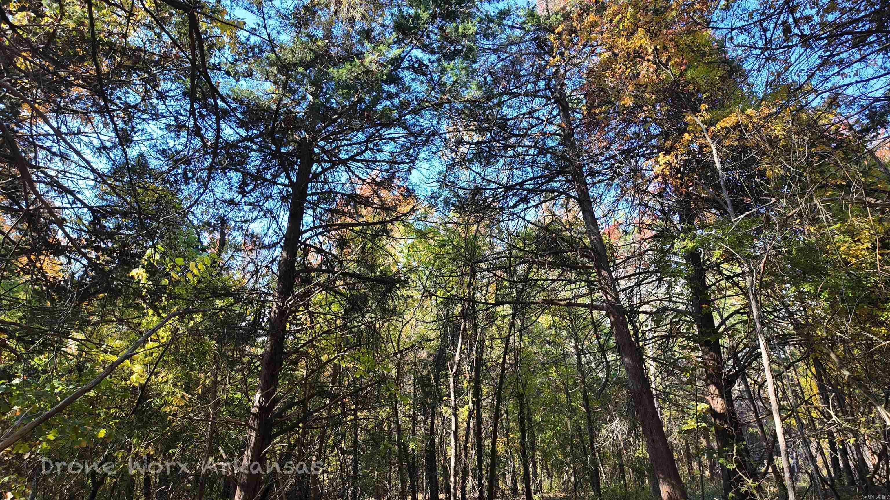 000 Range  Marshall, AR