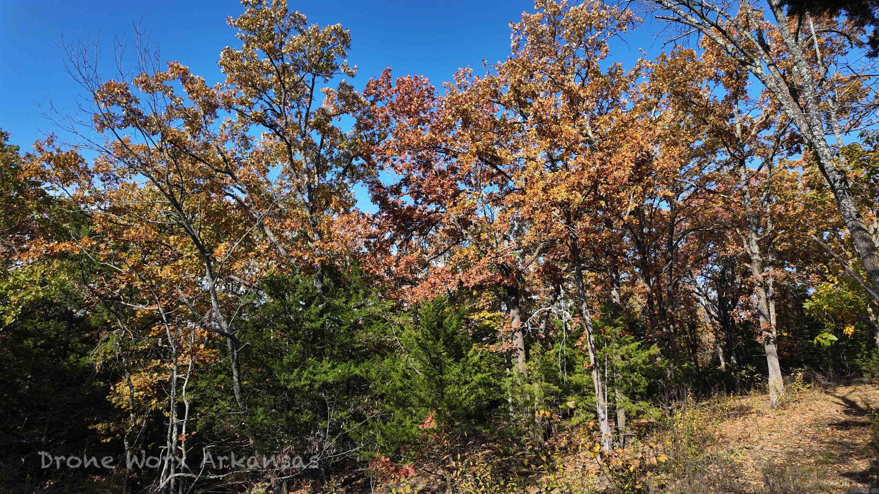 000 Range  Marshall, AR