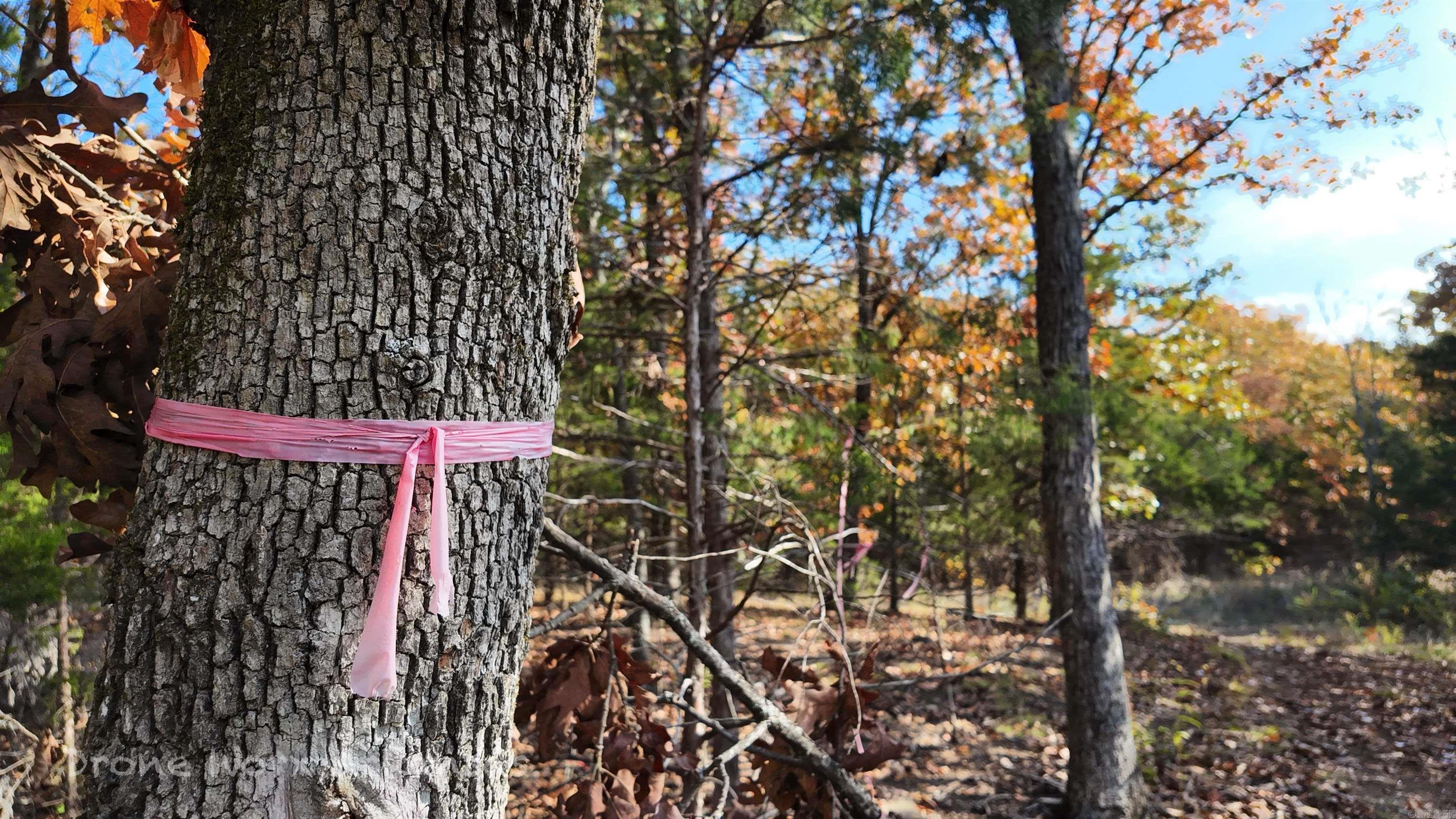 000 Range  Marshall, AR