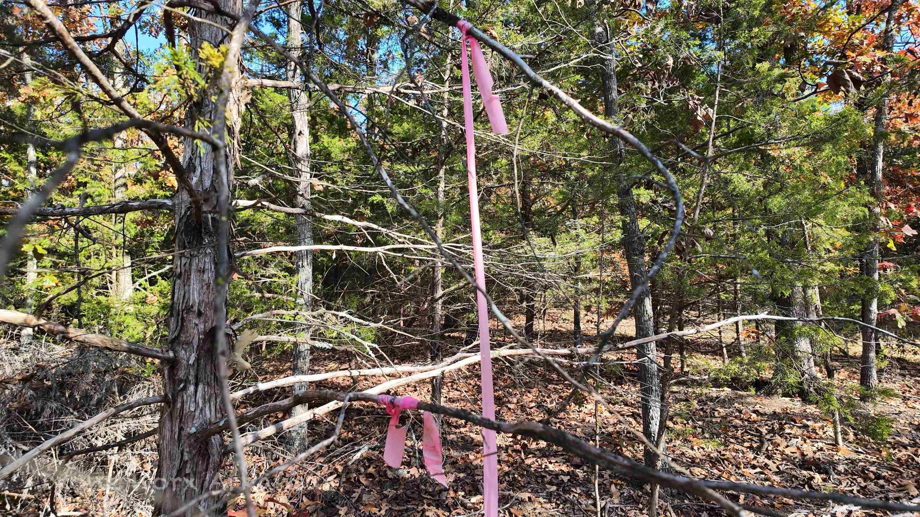 000 Range  Marshall, AR