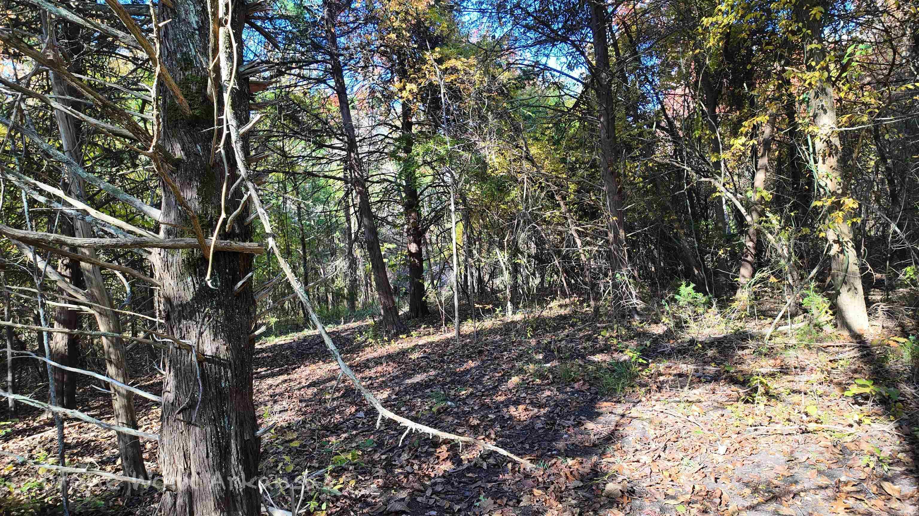 000 Range  Marshall, AR