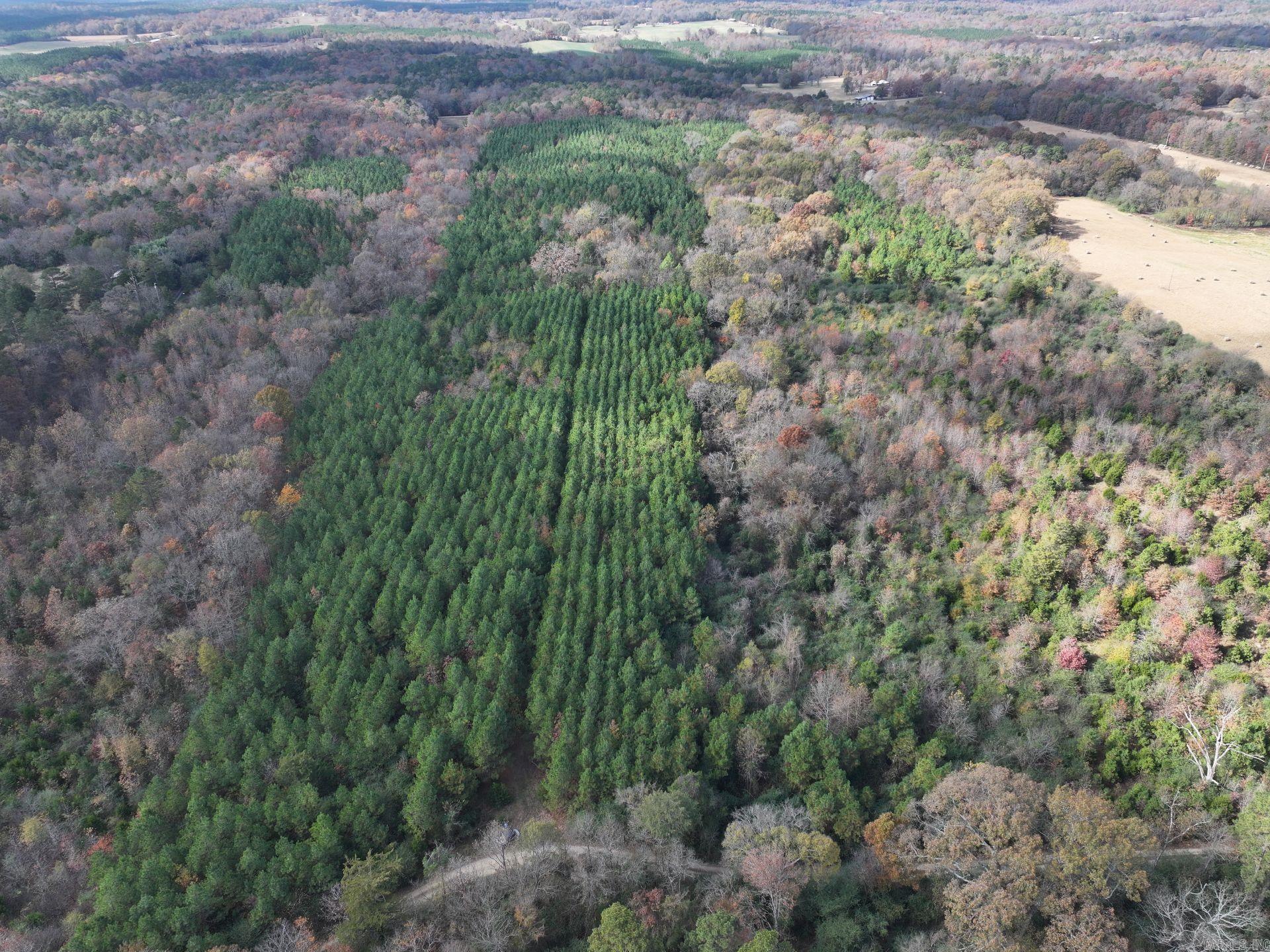 186 Wayback Lane  Cove, AR