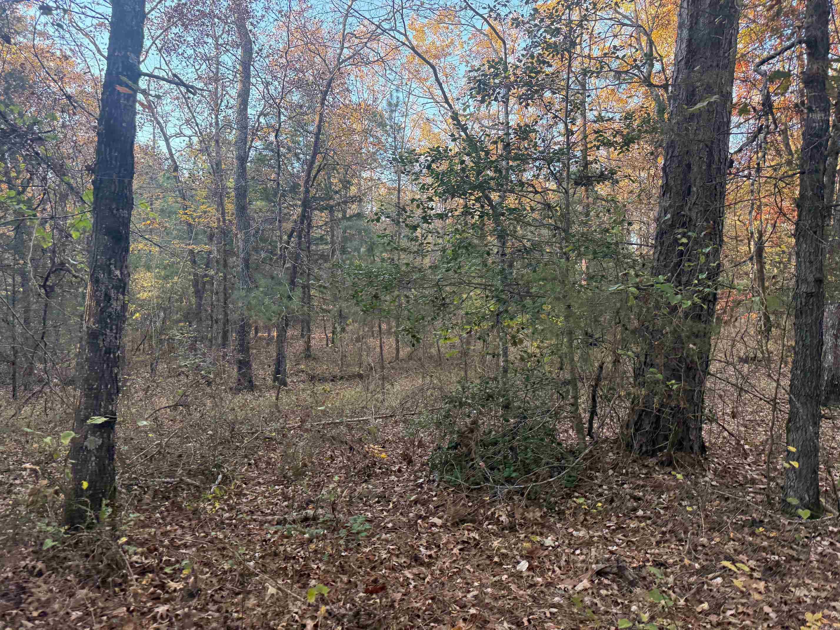 9999 easement Road  Cove, AR