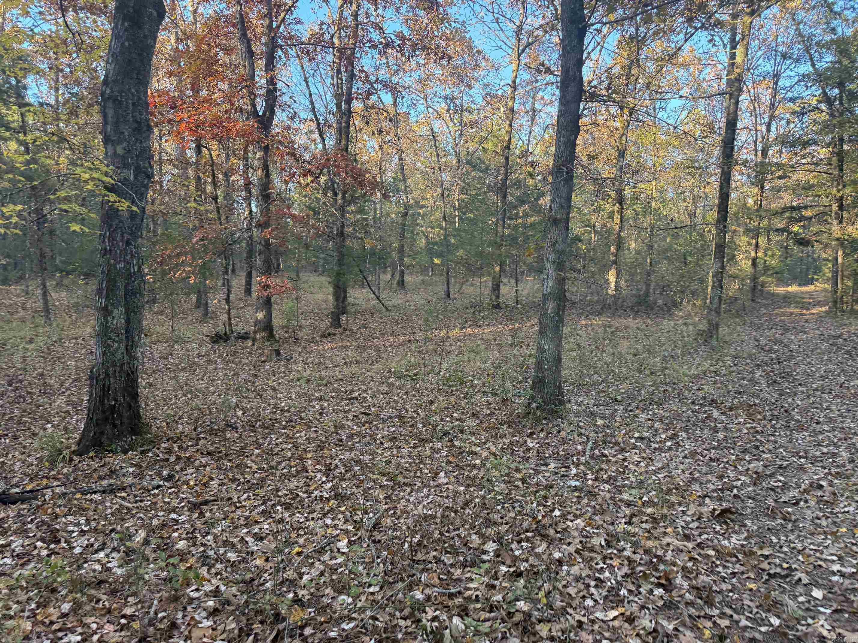 9999 easement Road  Cove, AR