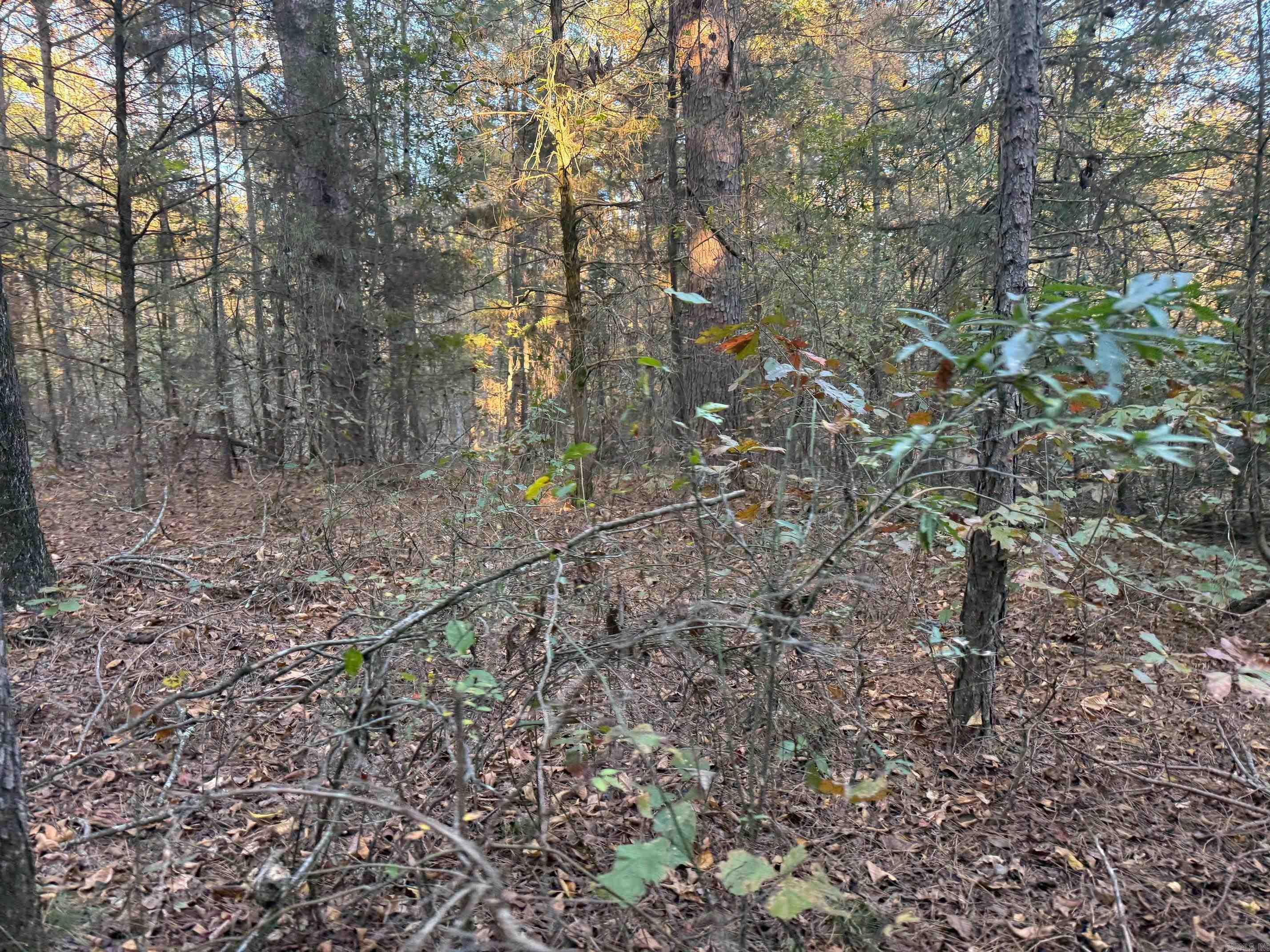 9999 easement Road  Cove, AR