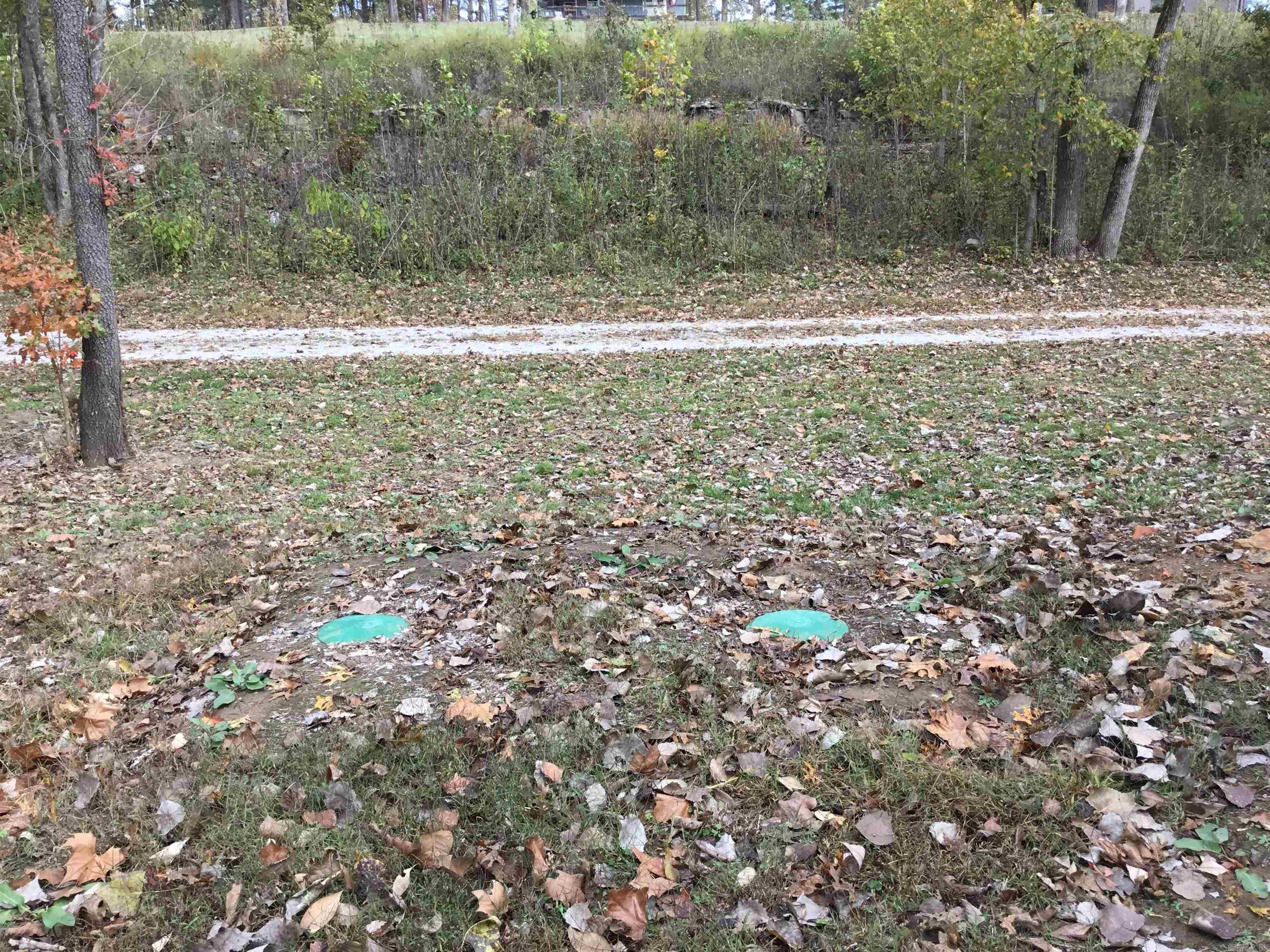 300 Mount Olive Manor  Melbourne, AR