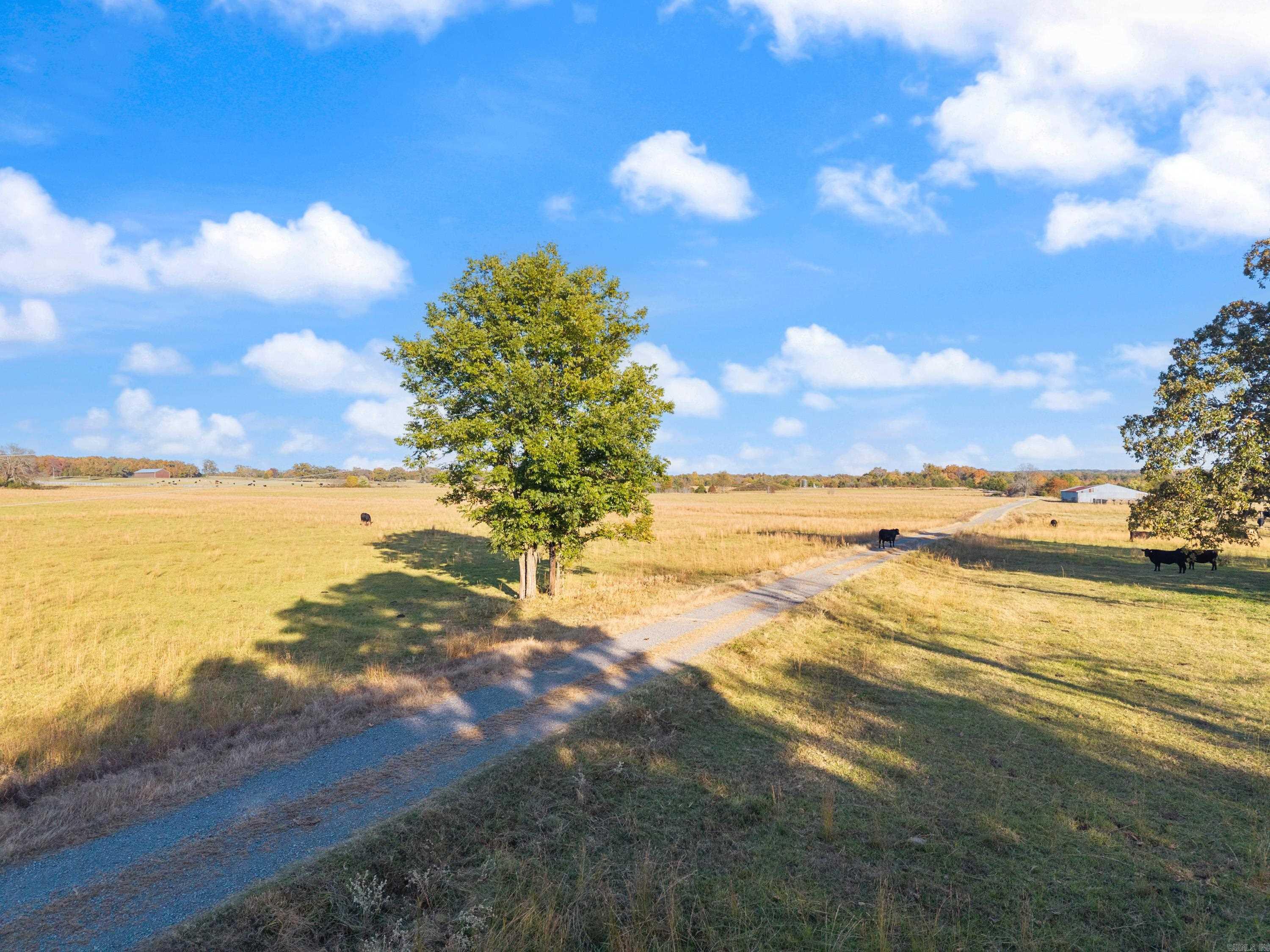 172 Blackfork Road  Greenbrier, AR