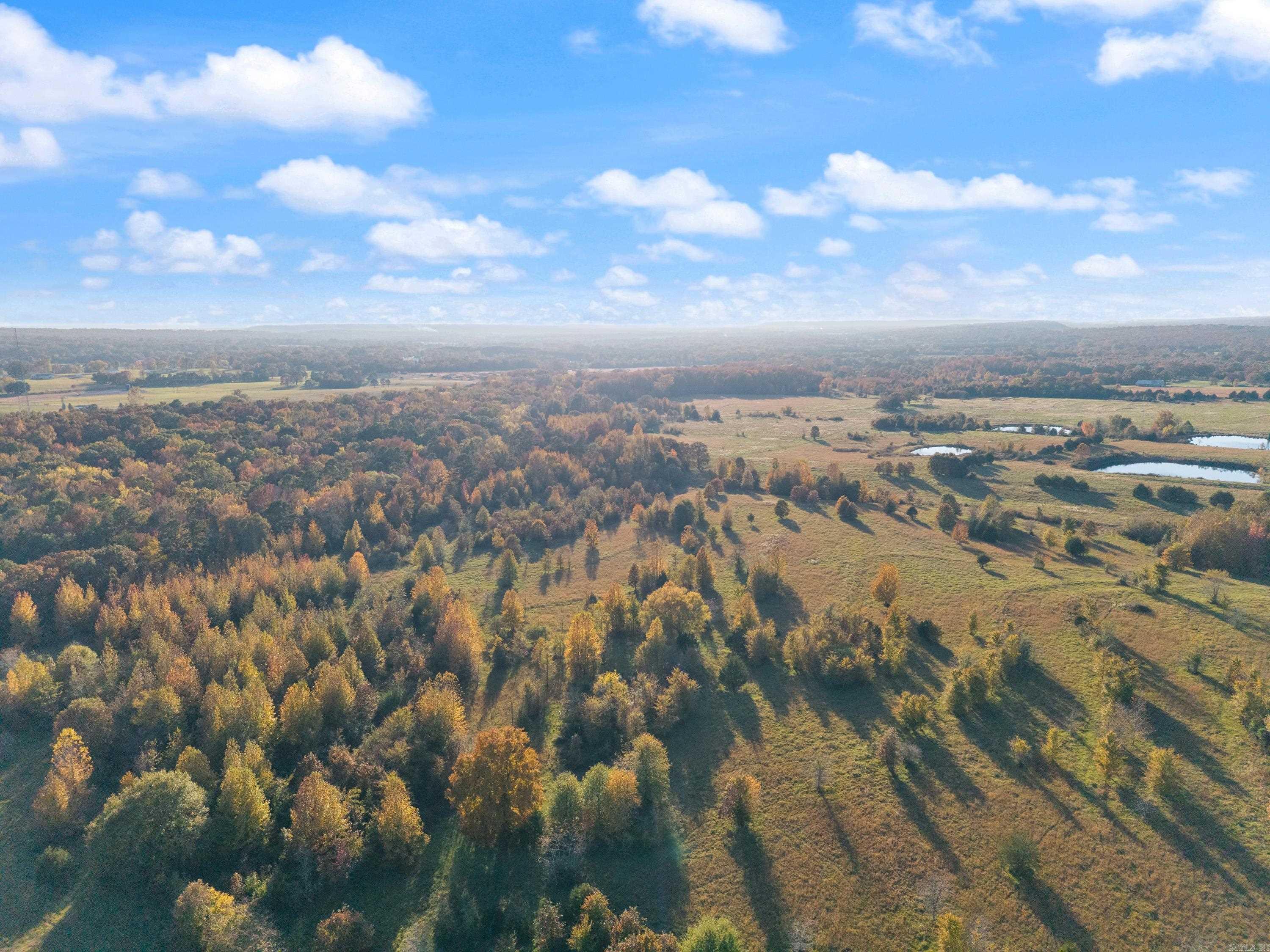 172 Blackfork Road  Greenbrier, AR