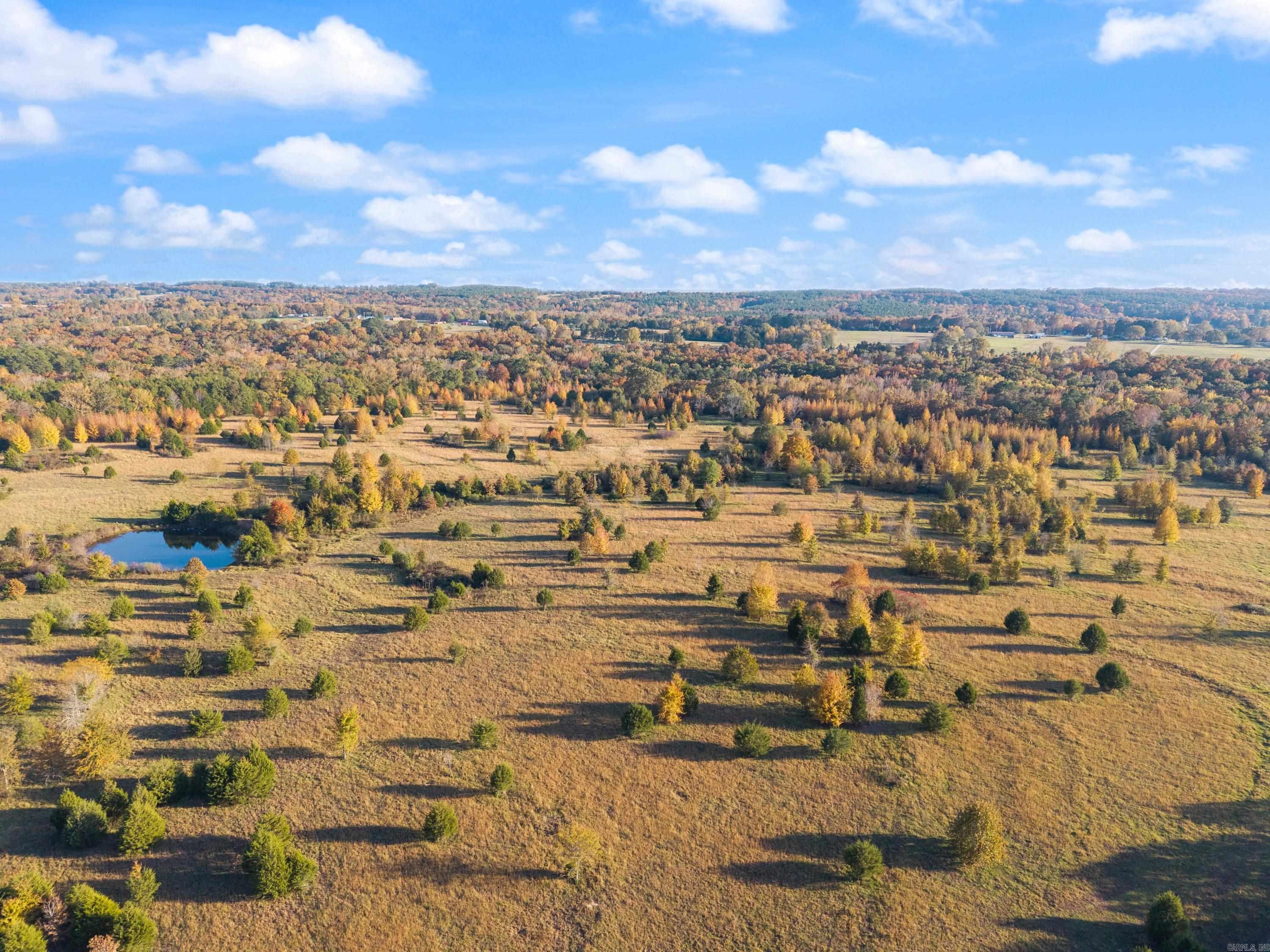 172 Blackfork Road  Greenbrier, AR