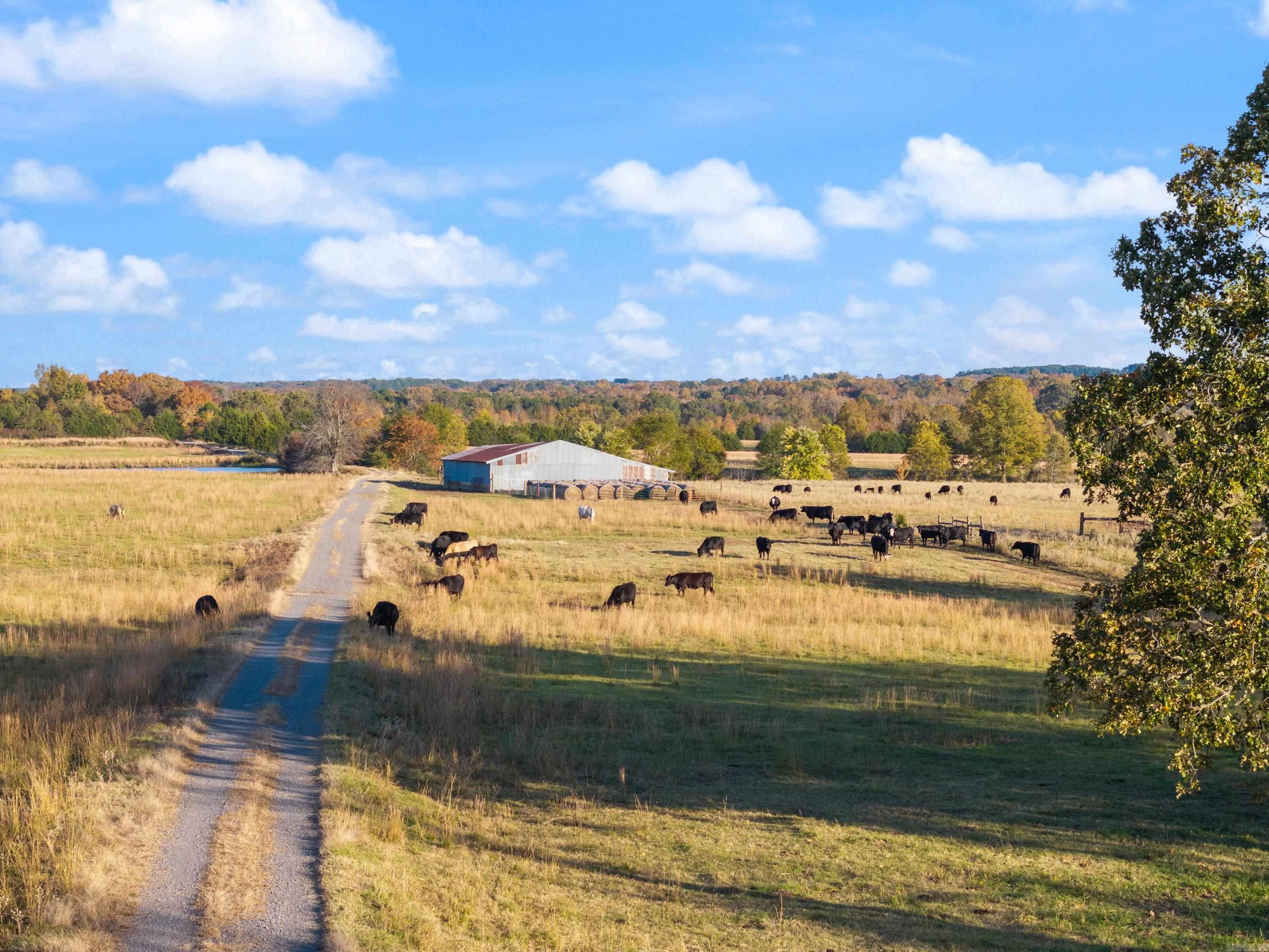 172 Blackfork Road  Greenbrier, AR