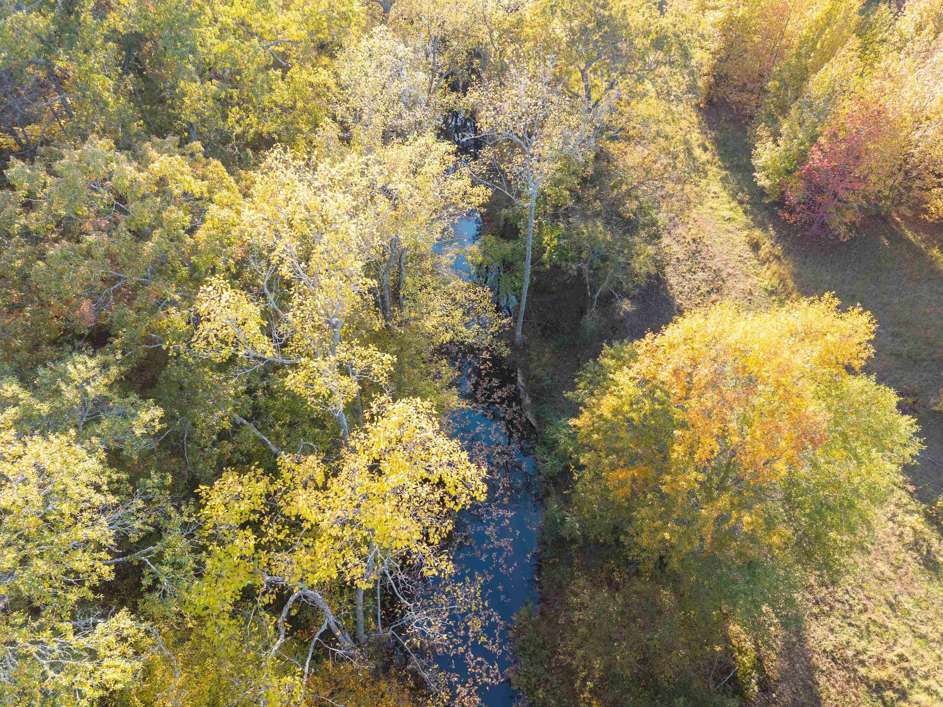 172 Blackfork Road  Greenbrier, AR