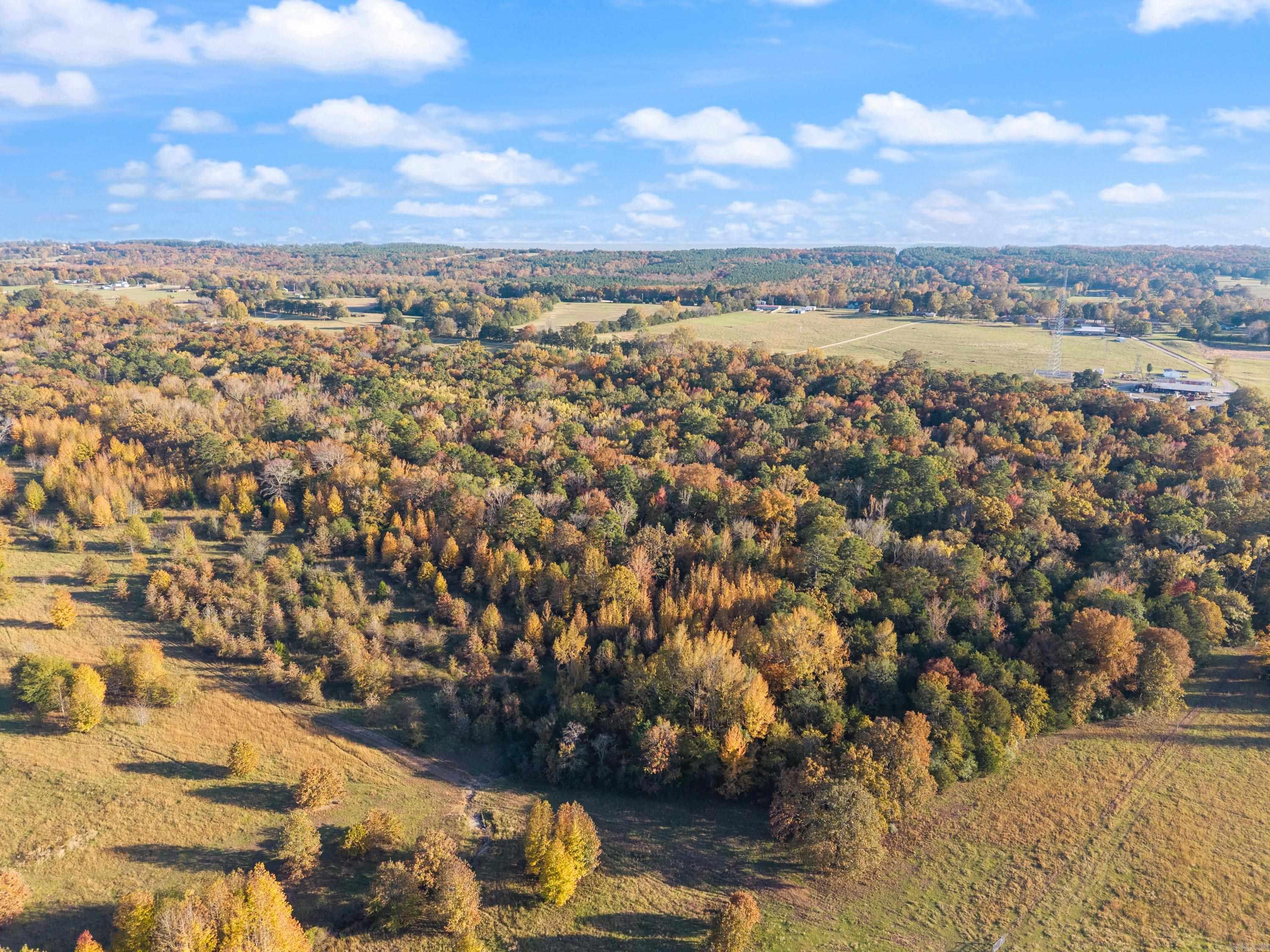 172 Blackfork Road  Greenbrier, AR