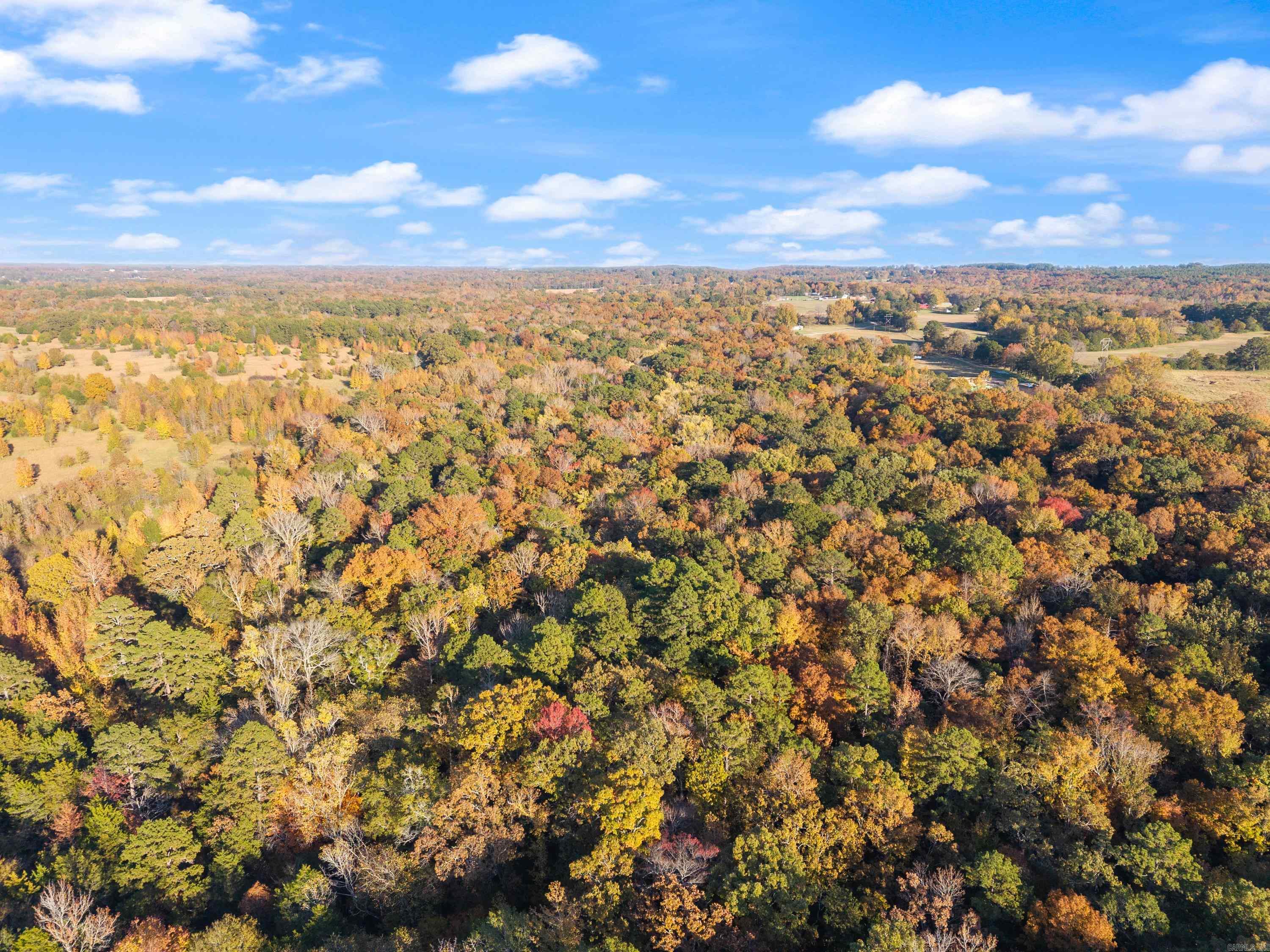 172 Blackfork Road  Greenbrier, AR