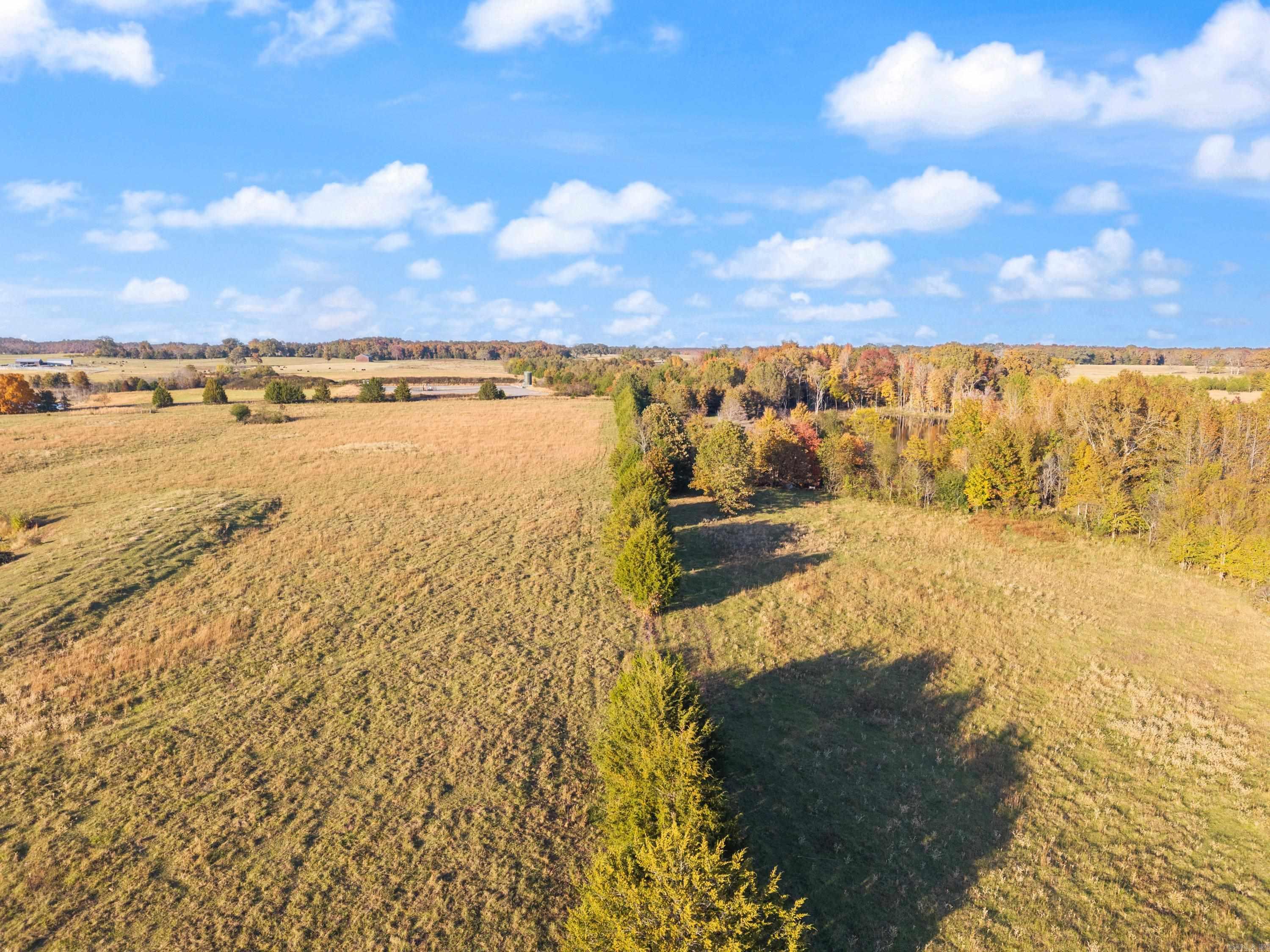 172 Blackfork Road  Greenbrier, AR