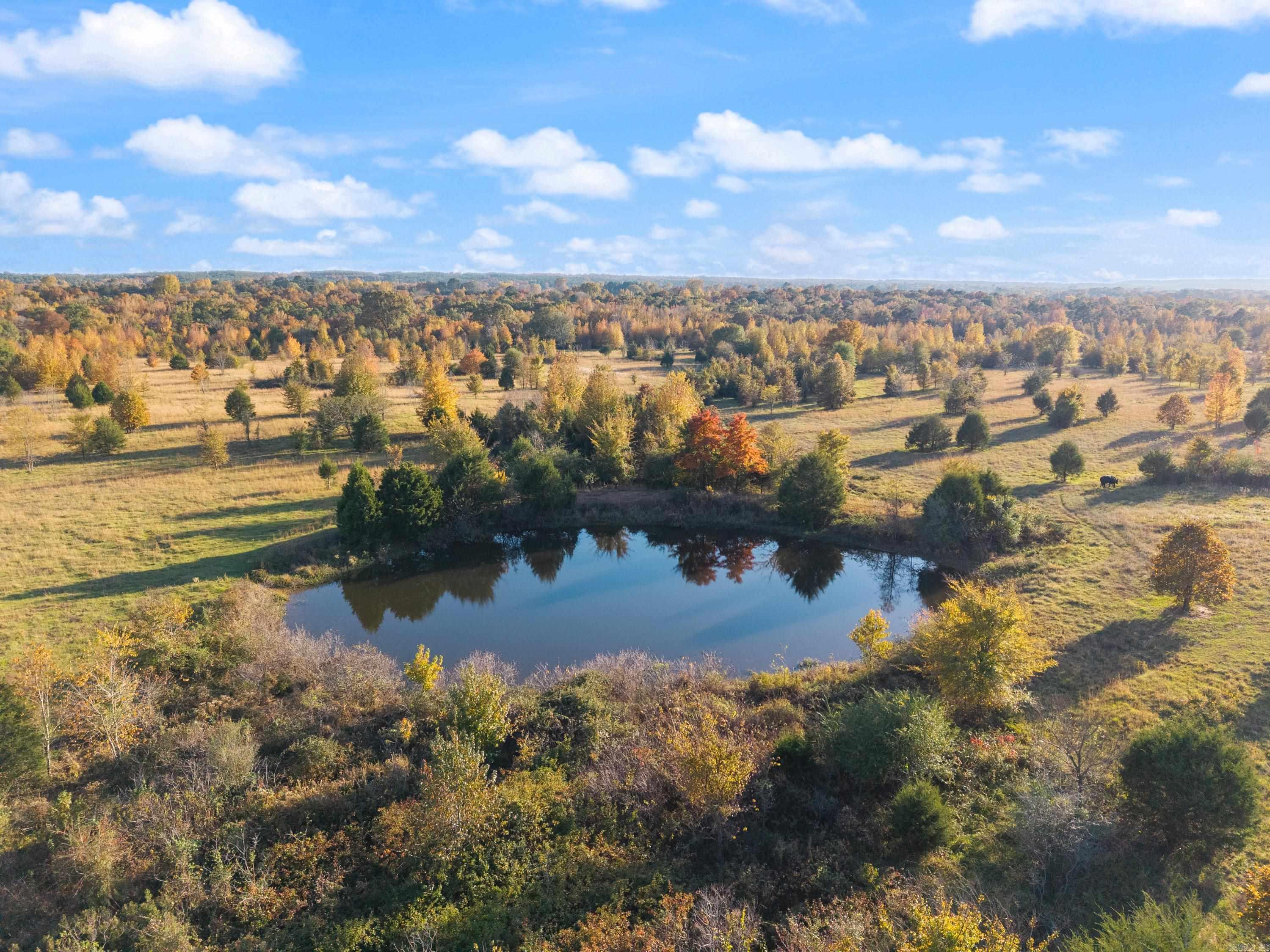 172 Blackfork Road  Greenbrier, AR