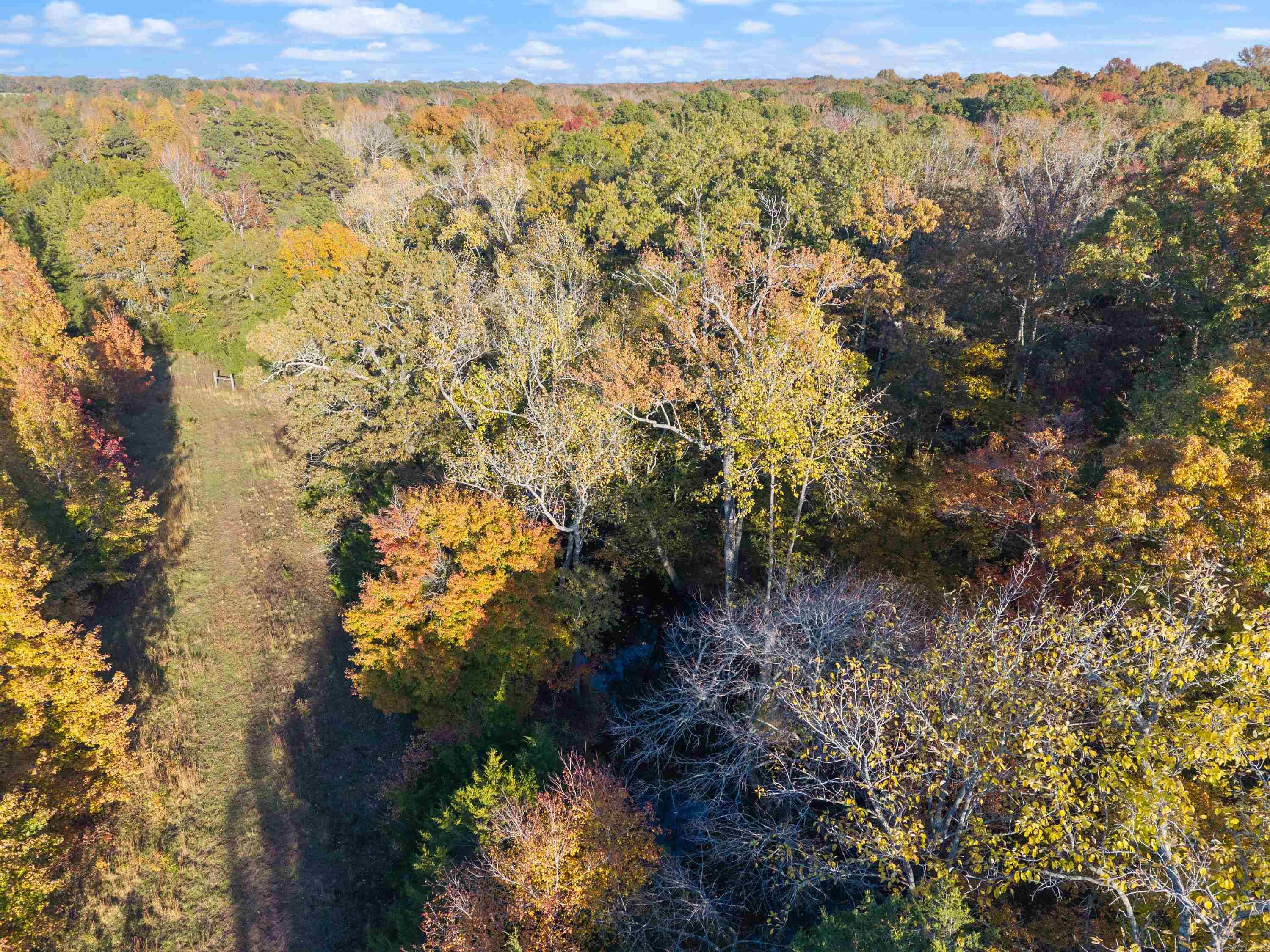 172 Blackfork Road  Greenbrier, AR