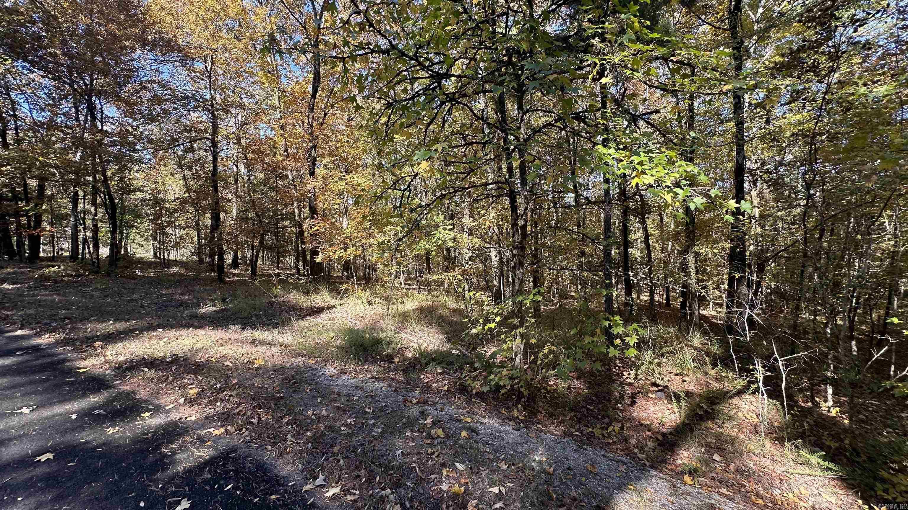 24 Buque  Hot Springs Village, AR