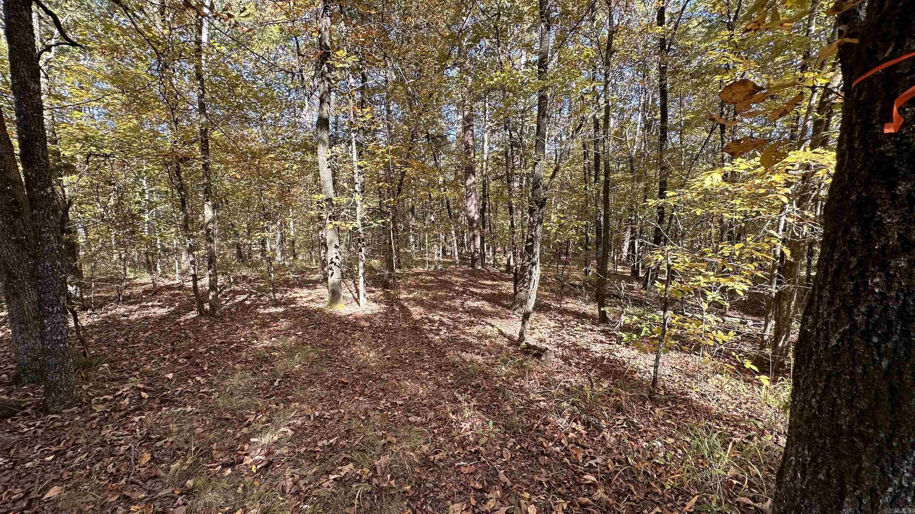 24 Buque  Hot Springs Village, AR