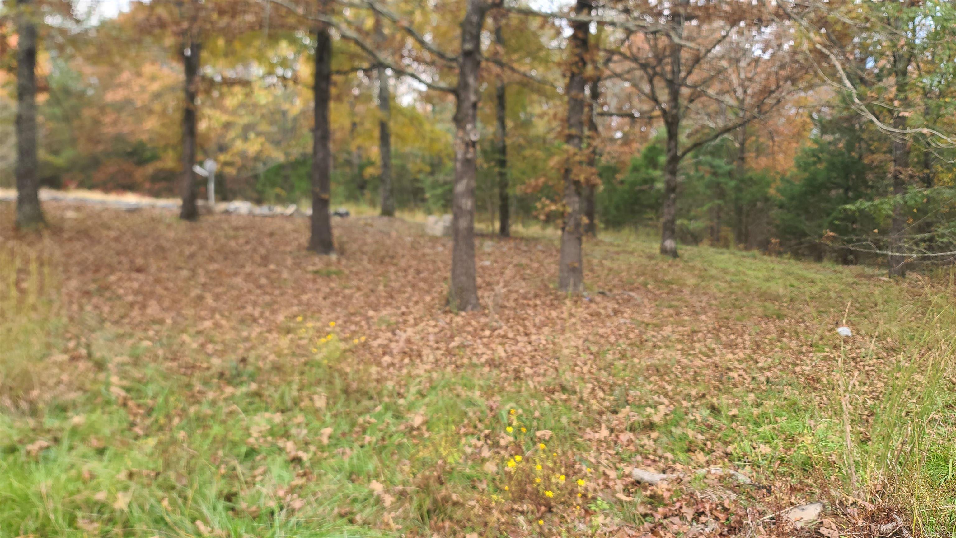 79 Hidden Valley  Conway, AR