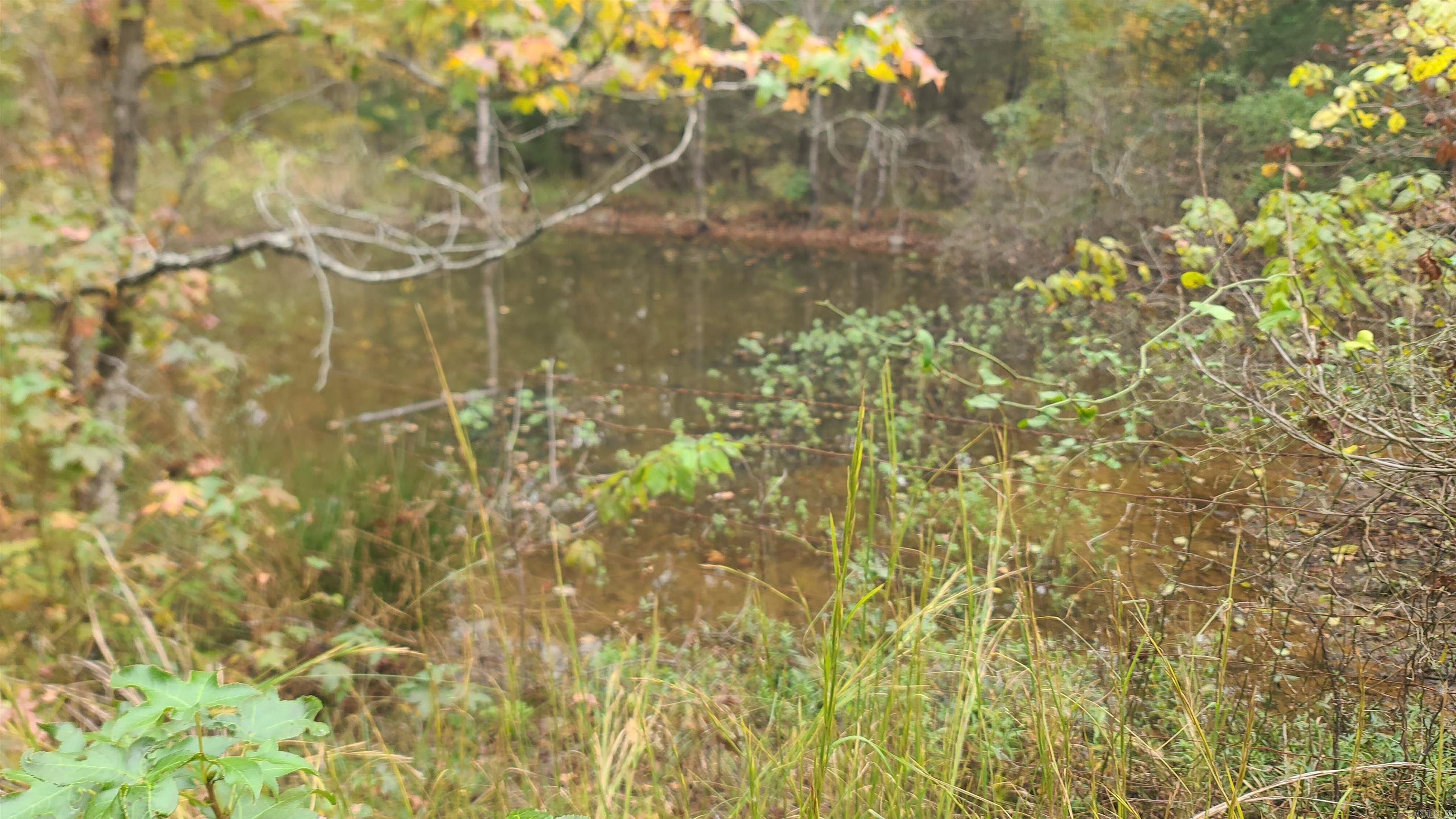 79 Hidden Valley  Conway, AR