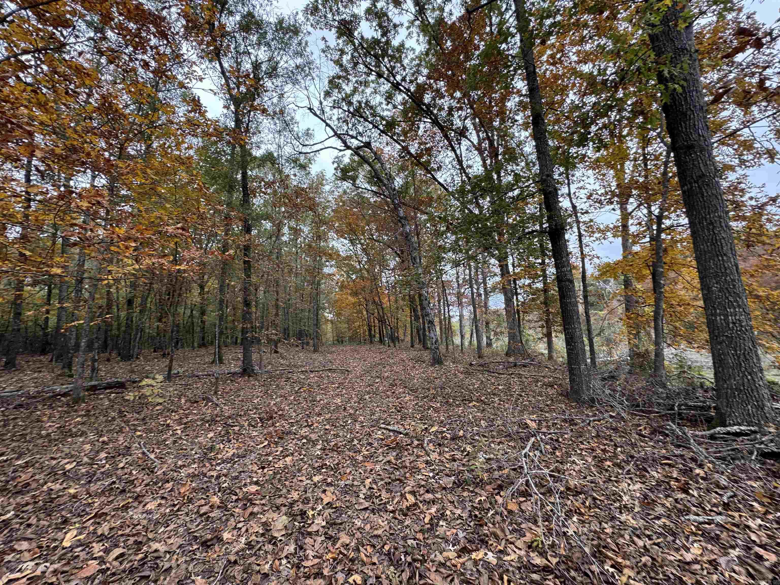 227 Mcpherson Rd  Stuttgart, AR