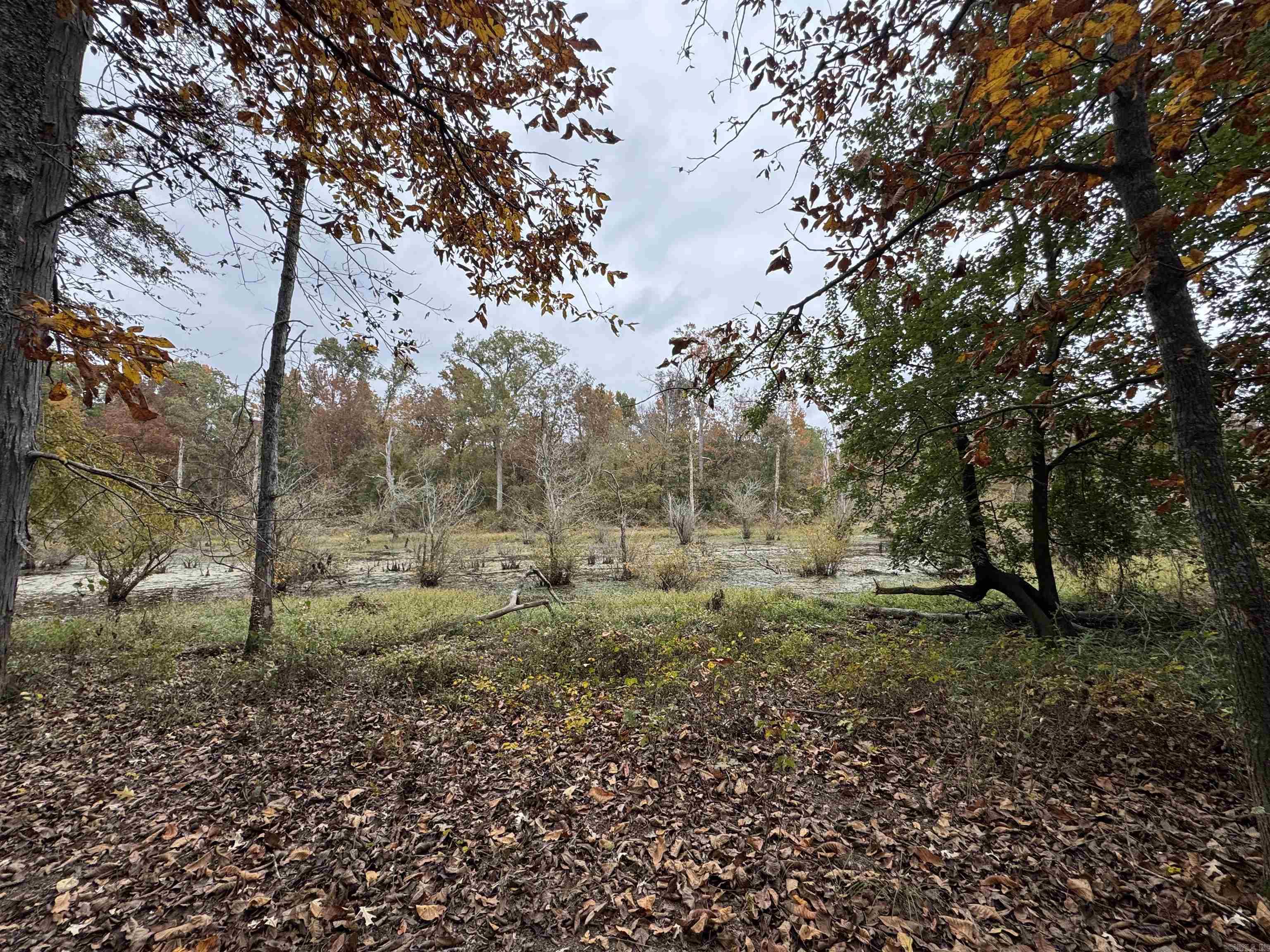 227 Mcpherson Rd  Stuttgart, AR