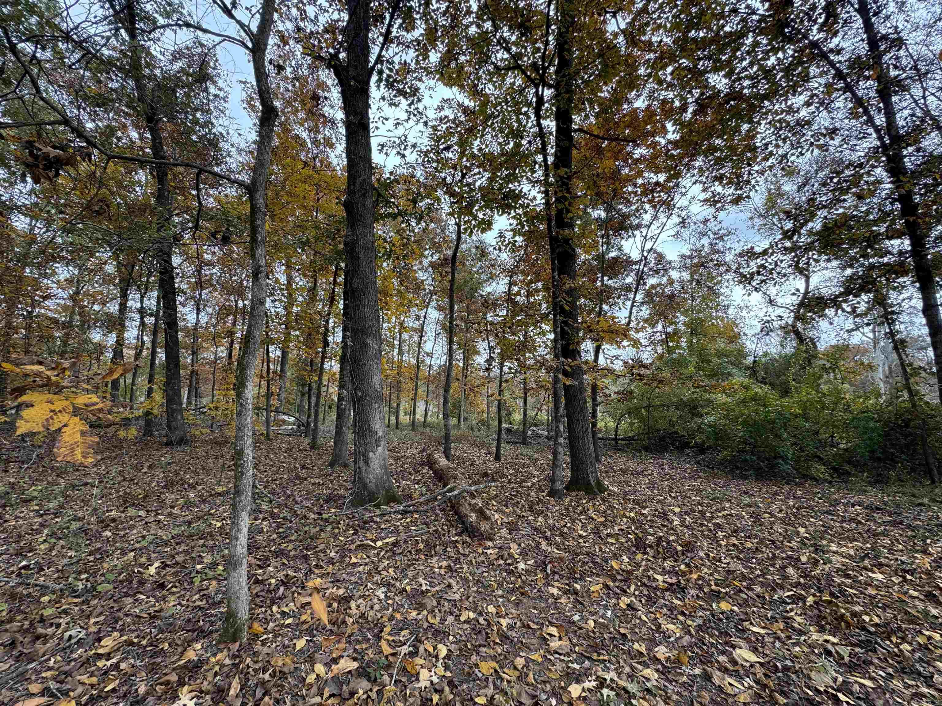 227 Mcpherson Rd  Stuttgart, AR