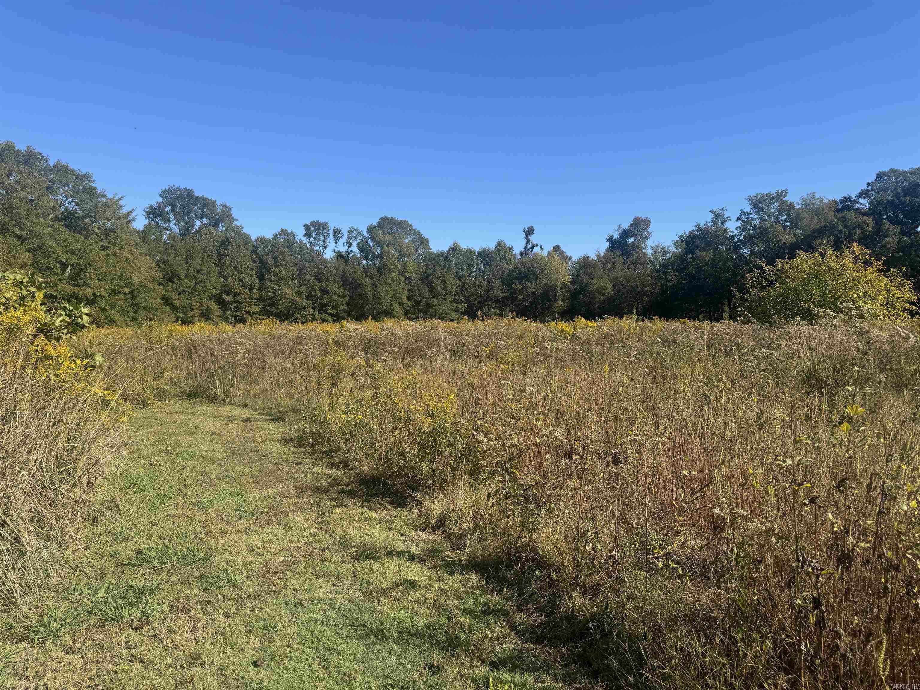 227 Mcpherson Rd  Stuttgart, AR