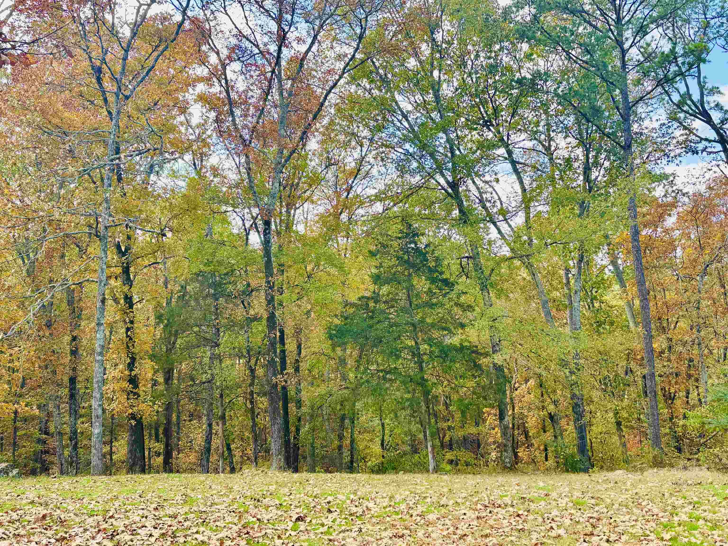 6575 Banner Mountain Road Shirley, AR 72153-0000