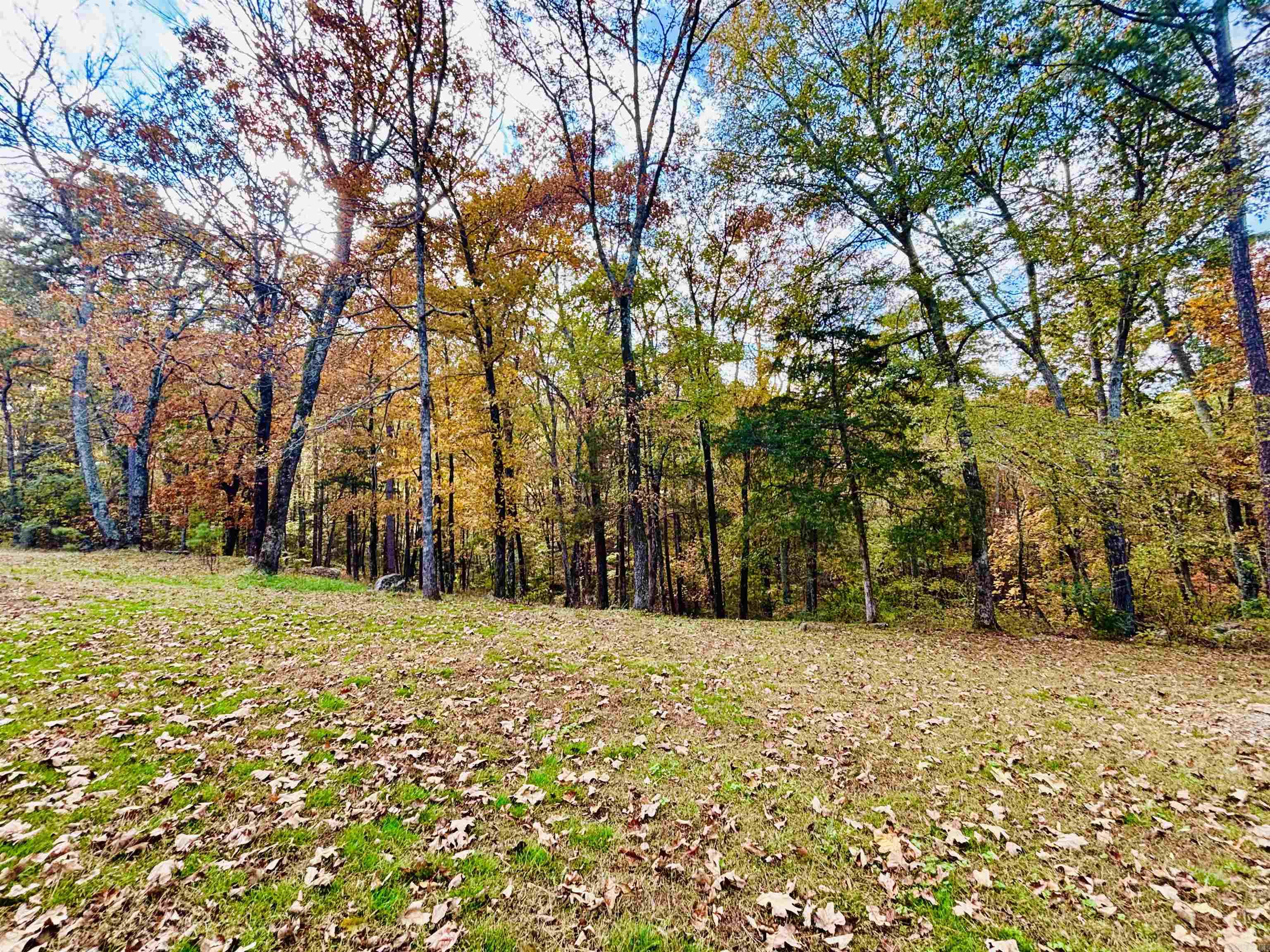 6575 Banner Mountain Road Shirley, AR 72153-0000