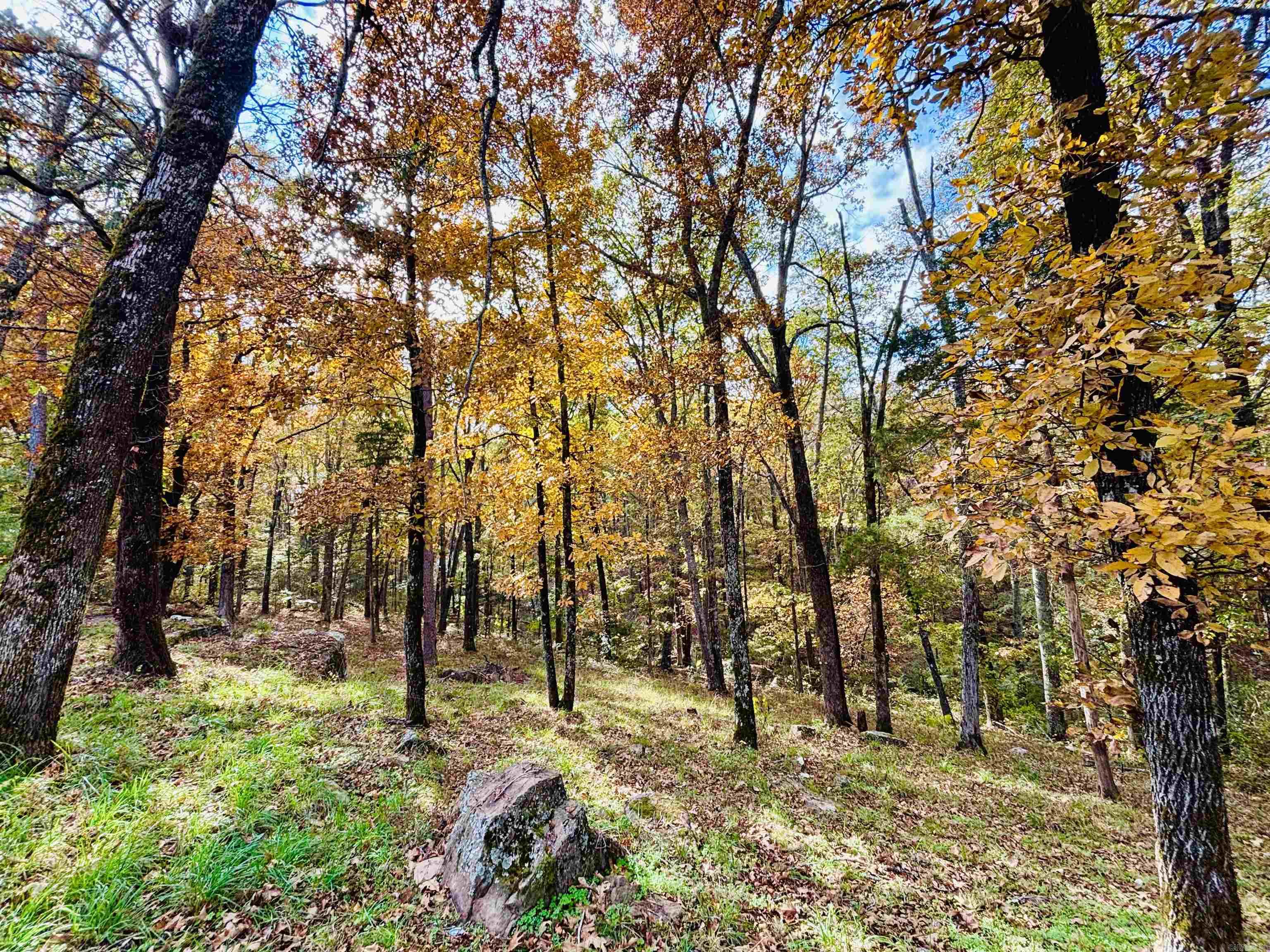 6575 Banner Mountain Road Shirley, AR 72153-0000