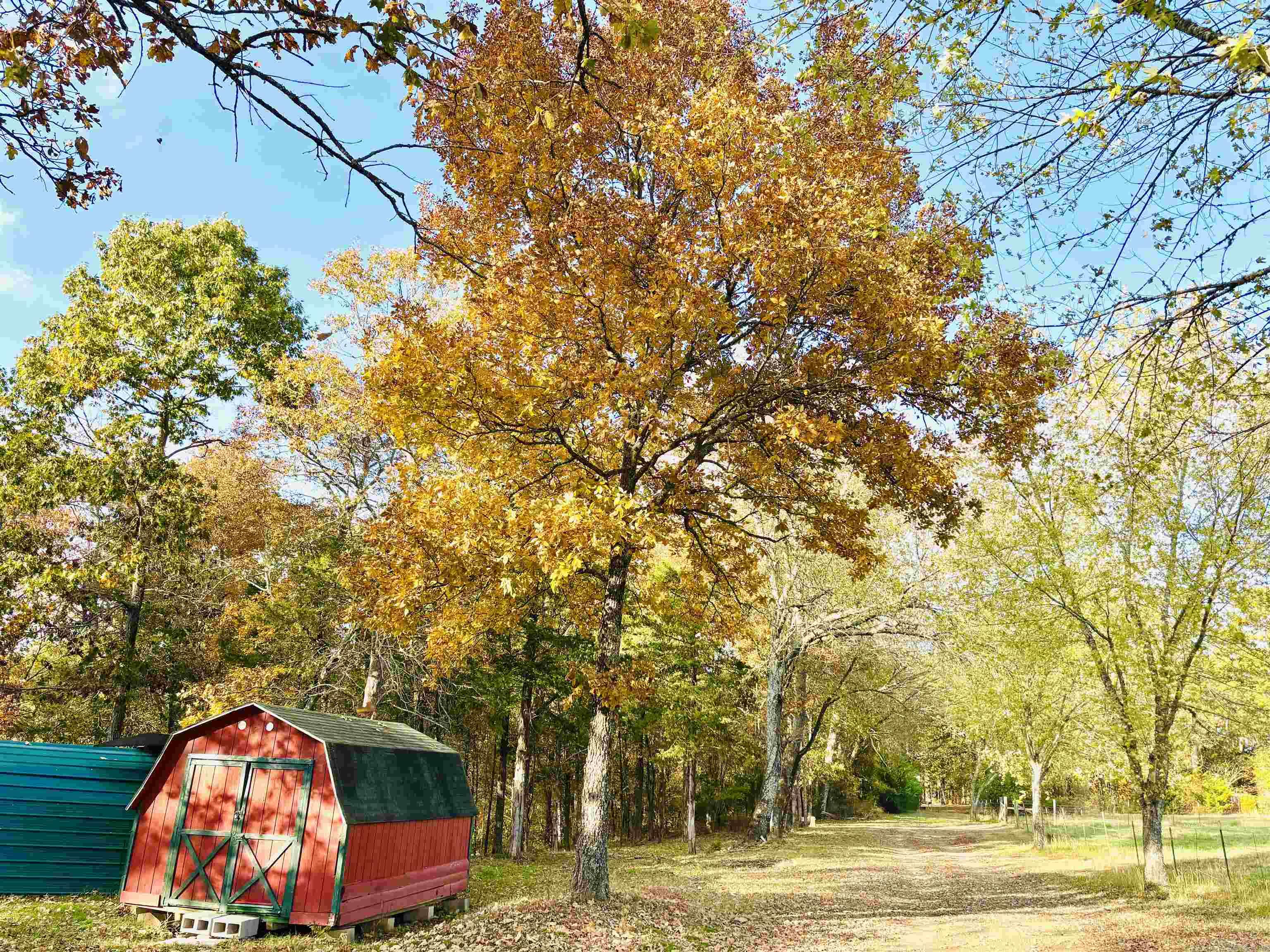 6575 Banner Mountain Road Shirley, AR 72153-0000