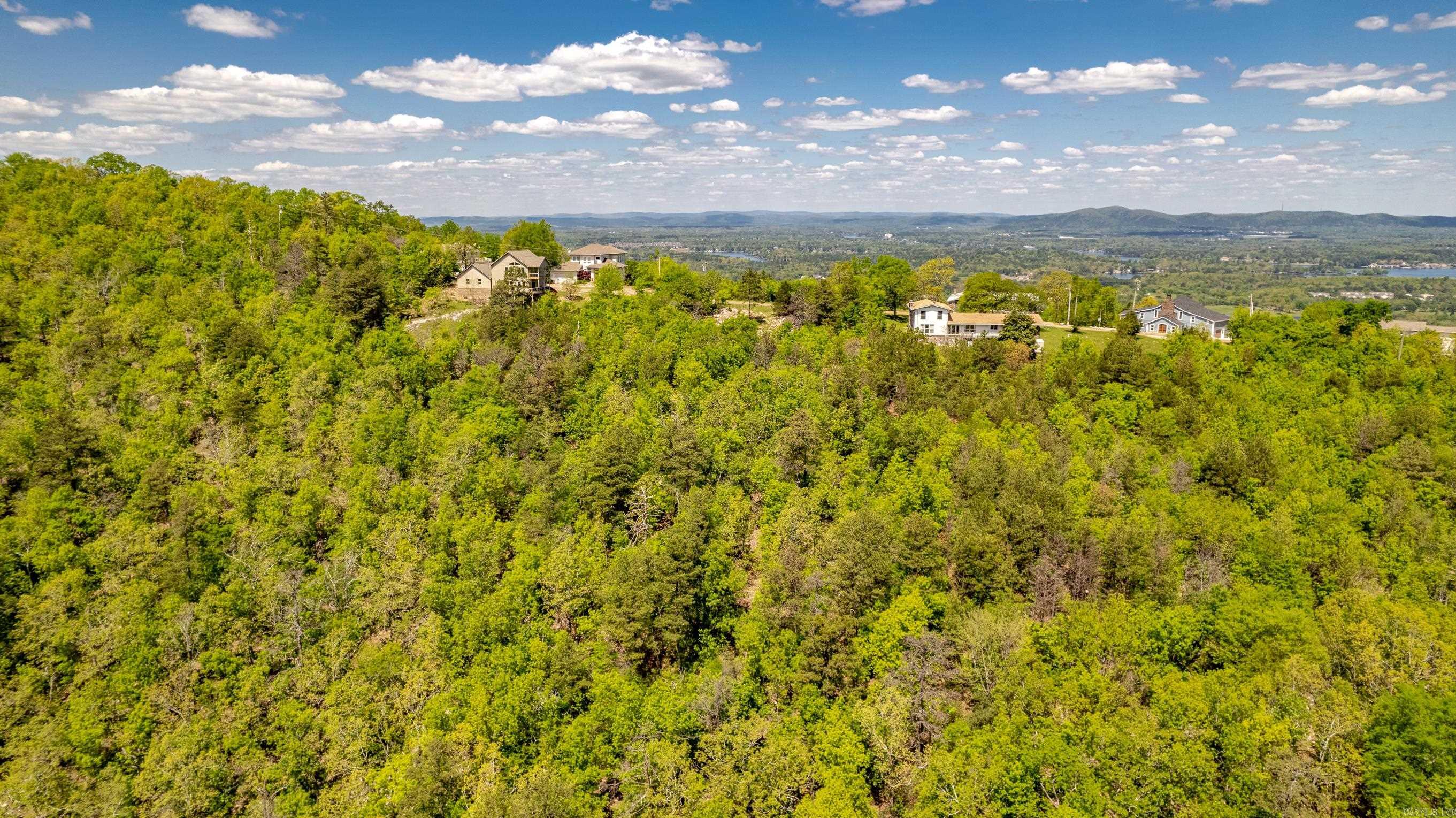 000 Mt Riante  Hot Springs, AR