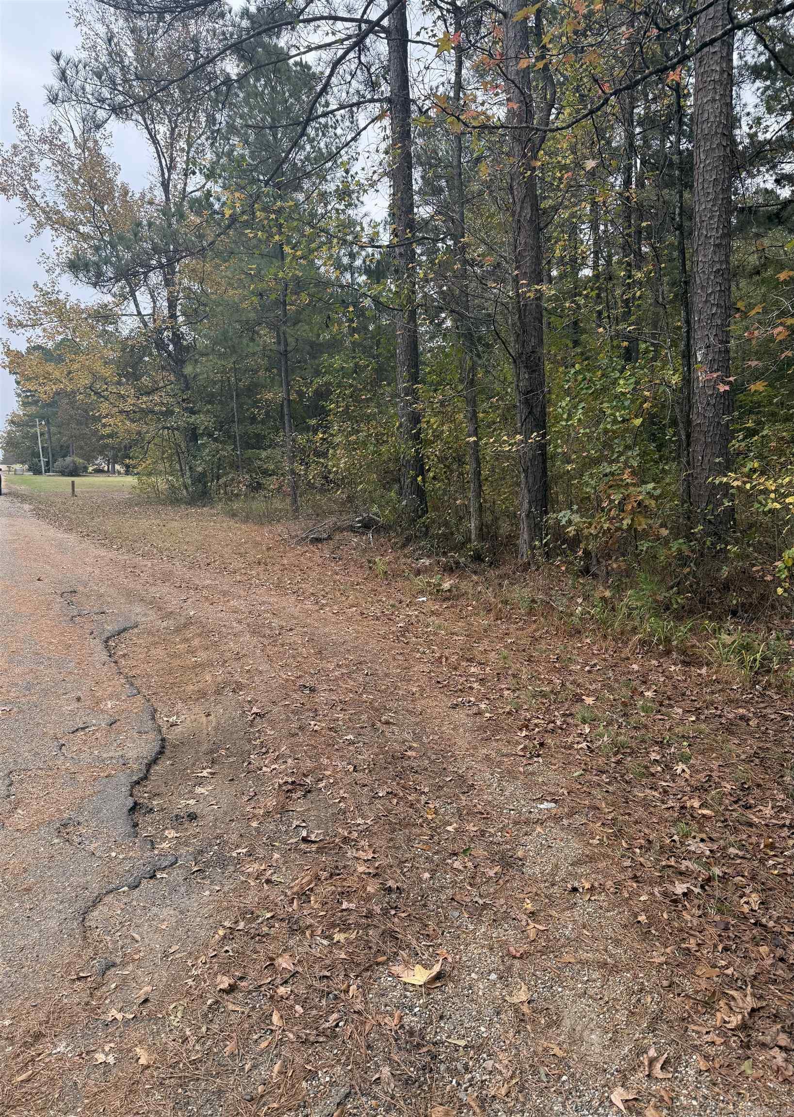 267 Rolling Hills Rd  Arkadelphia, AR