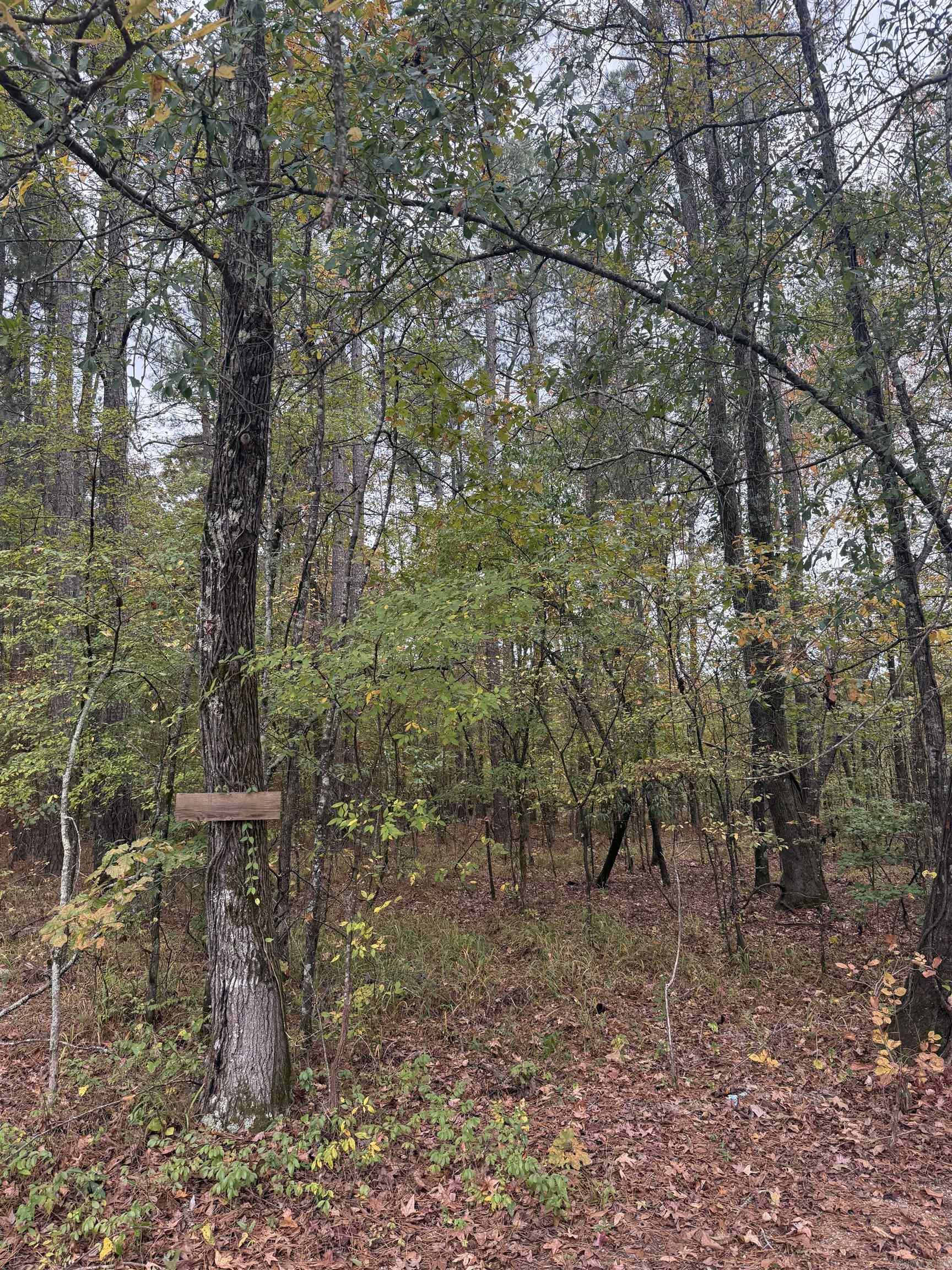 267 Rolling Hills Rd  Arkadelphia, AR