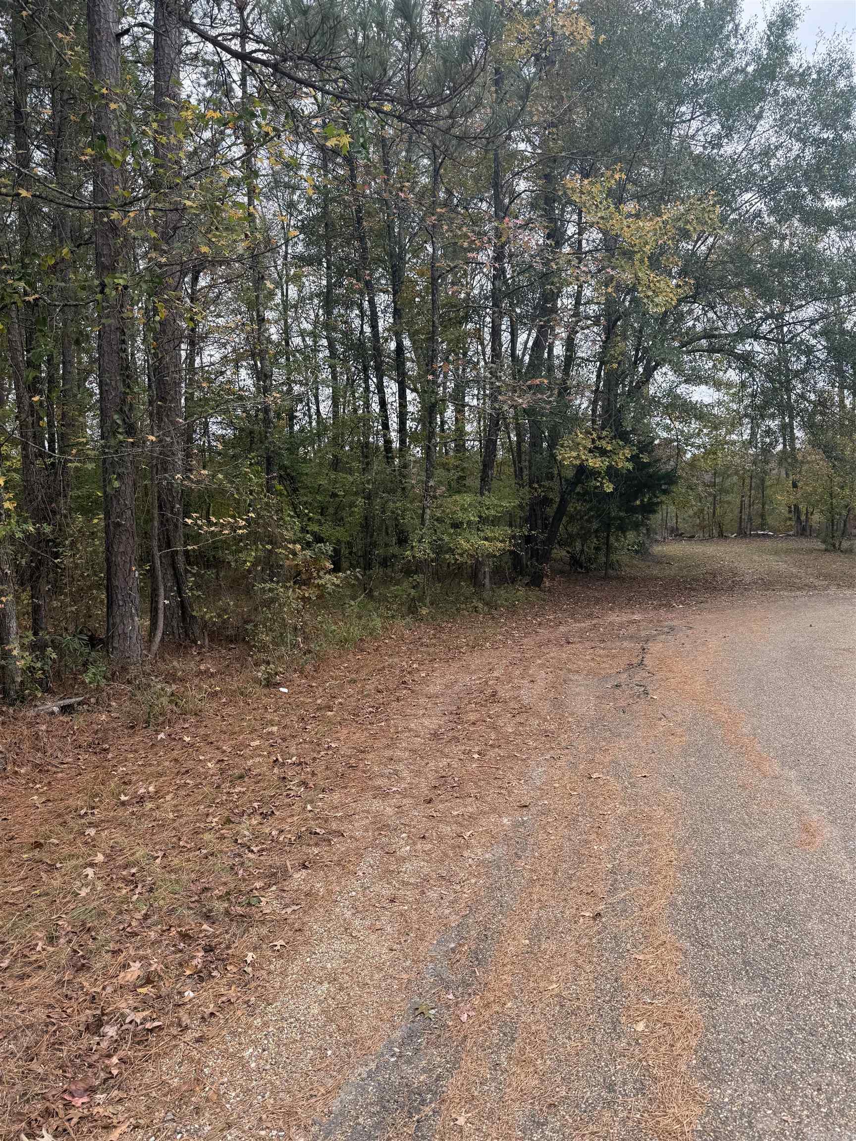 267 Rolling Hills Rd  Arkadelphia, AR