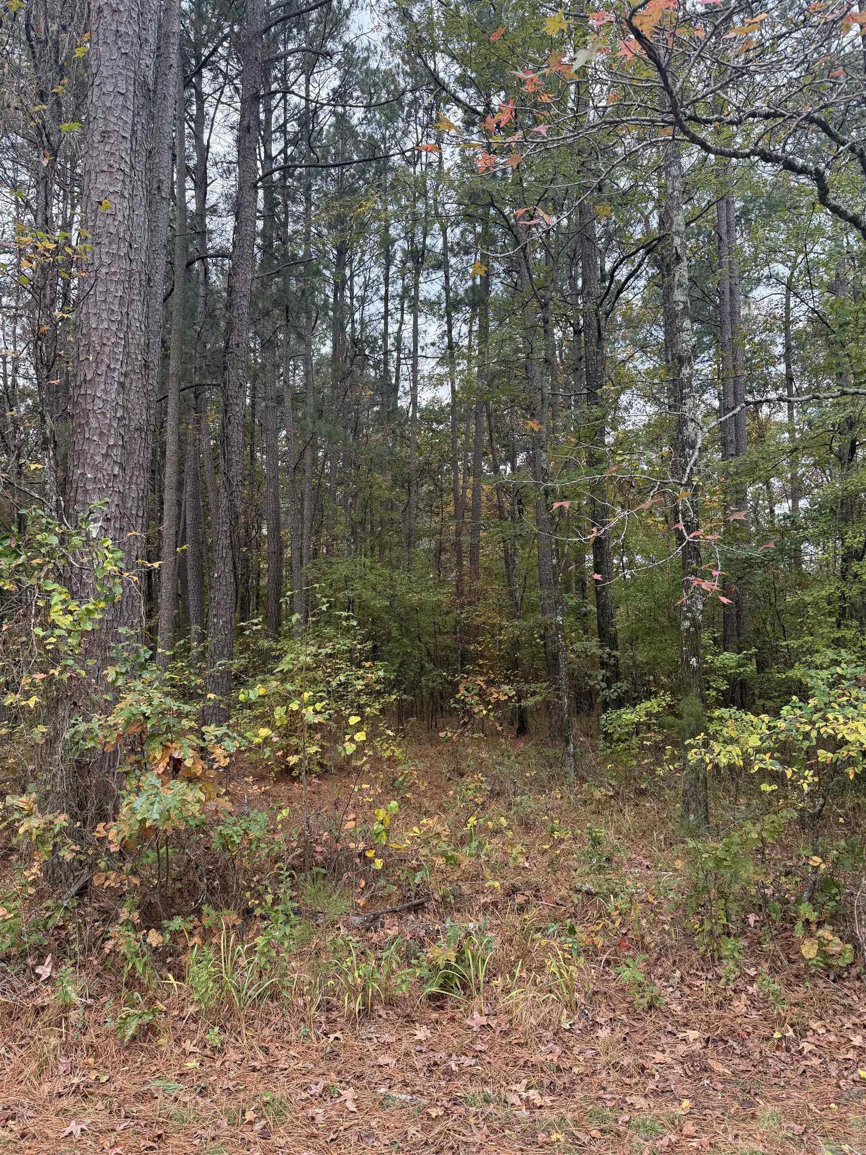 267 Rolling Hills Rd  Arkadelphia, AR