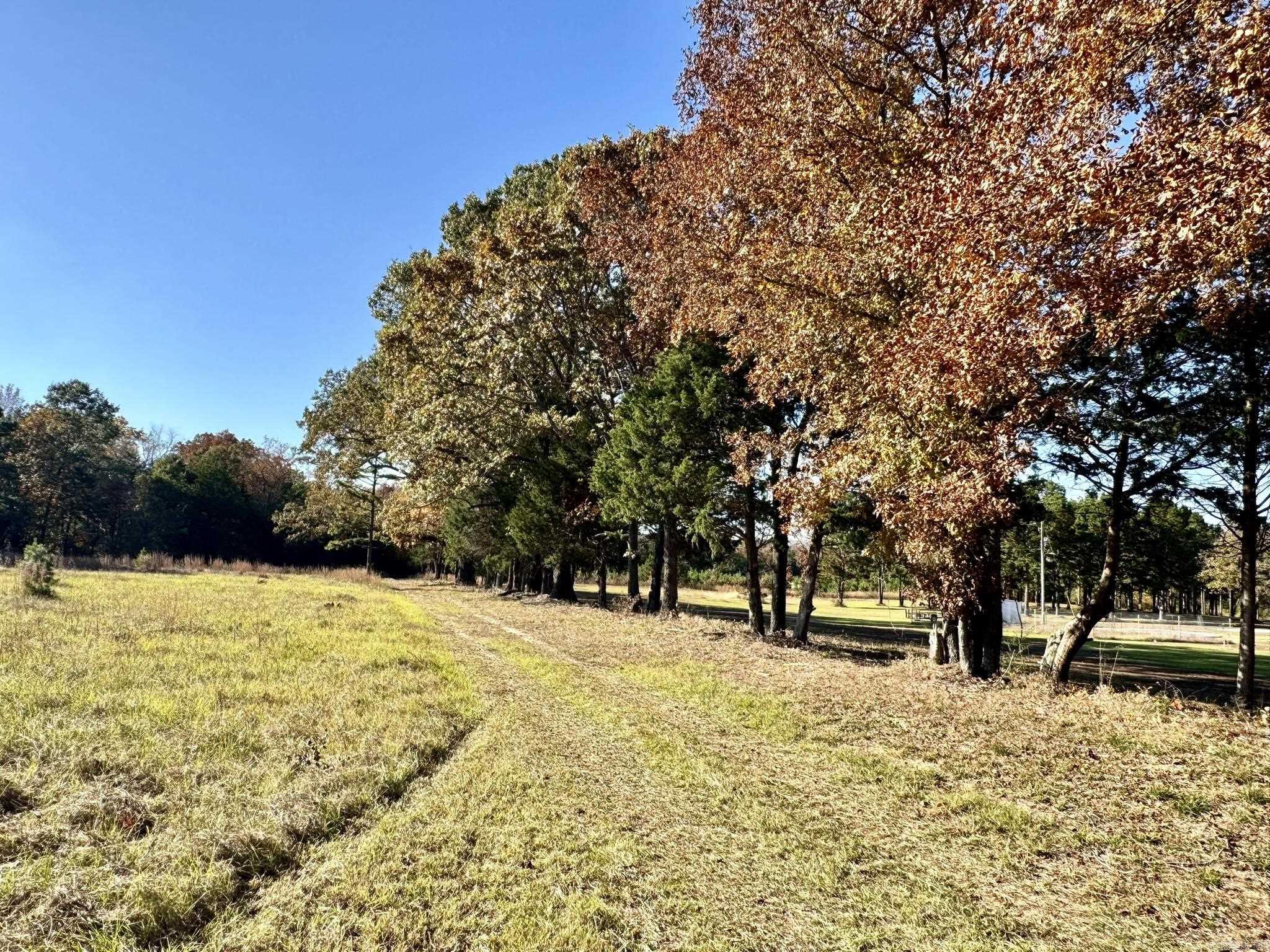 150 Holloway Lane  Greenbrier, AR