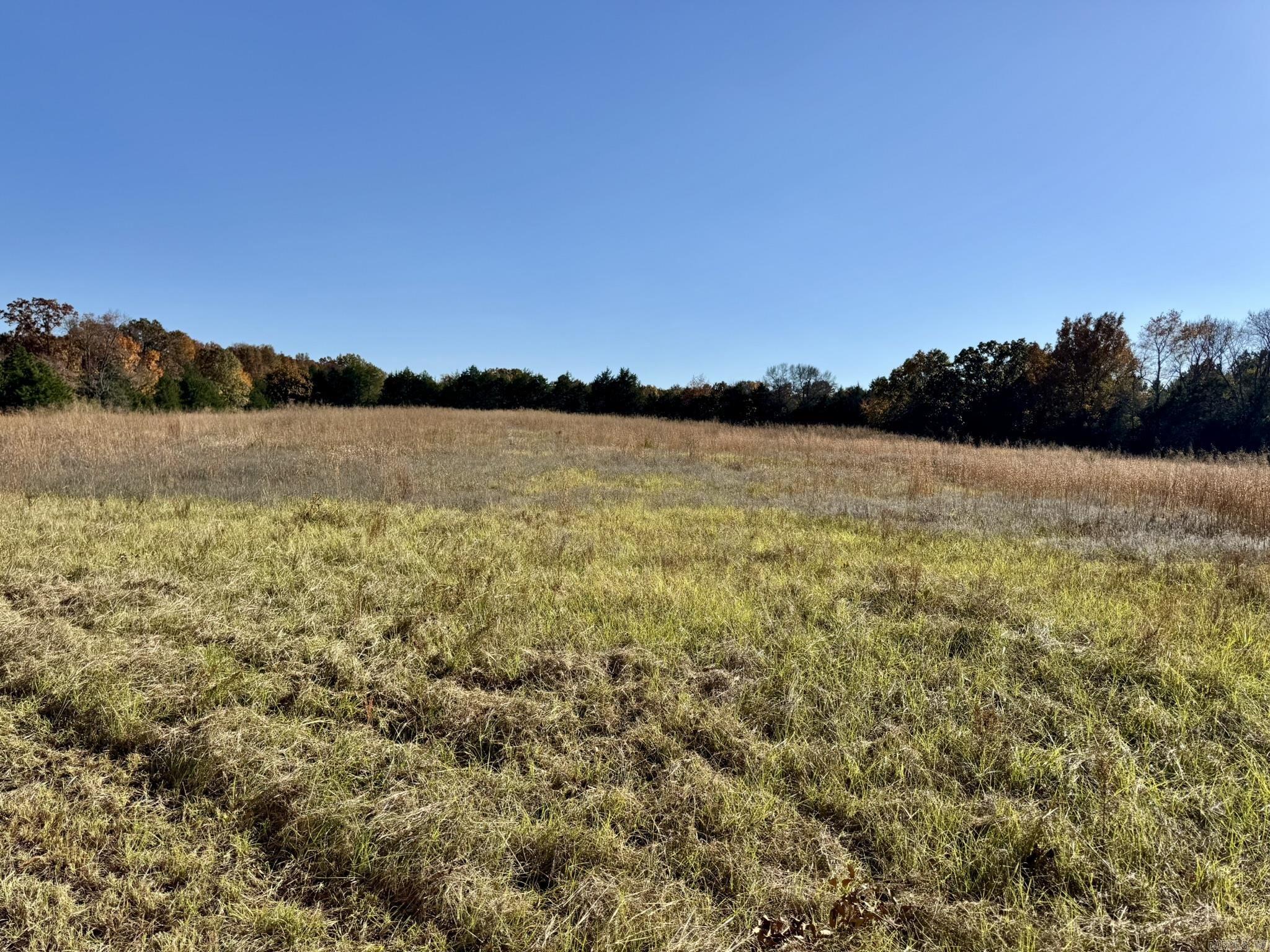 150 Holloway Lane  Greenbrier, AR