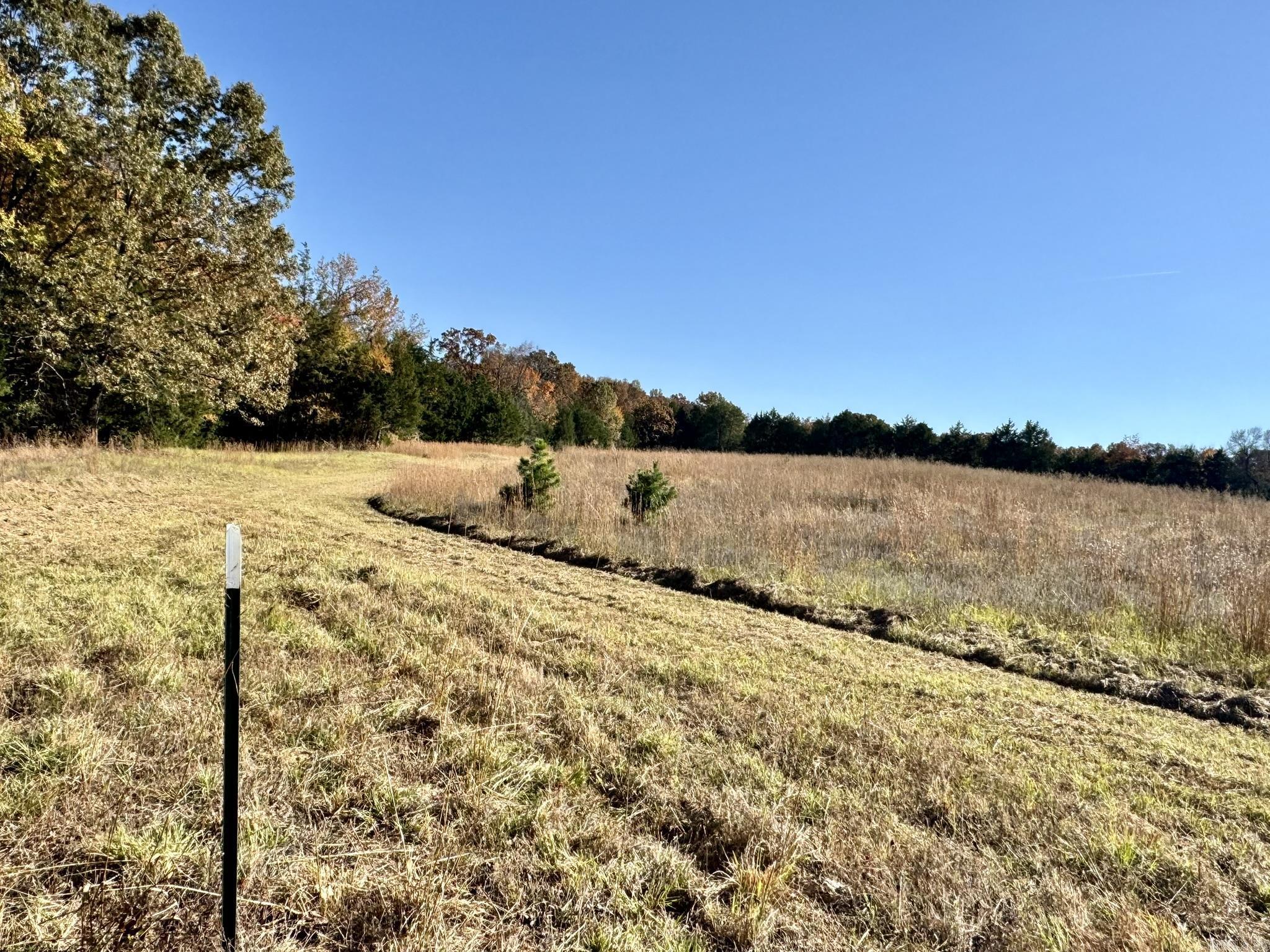 150 Holloway Lane  Greenbrier, AR