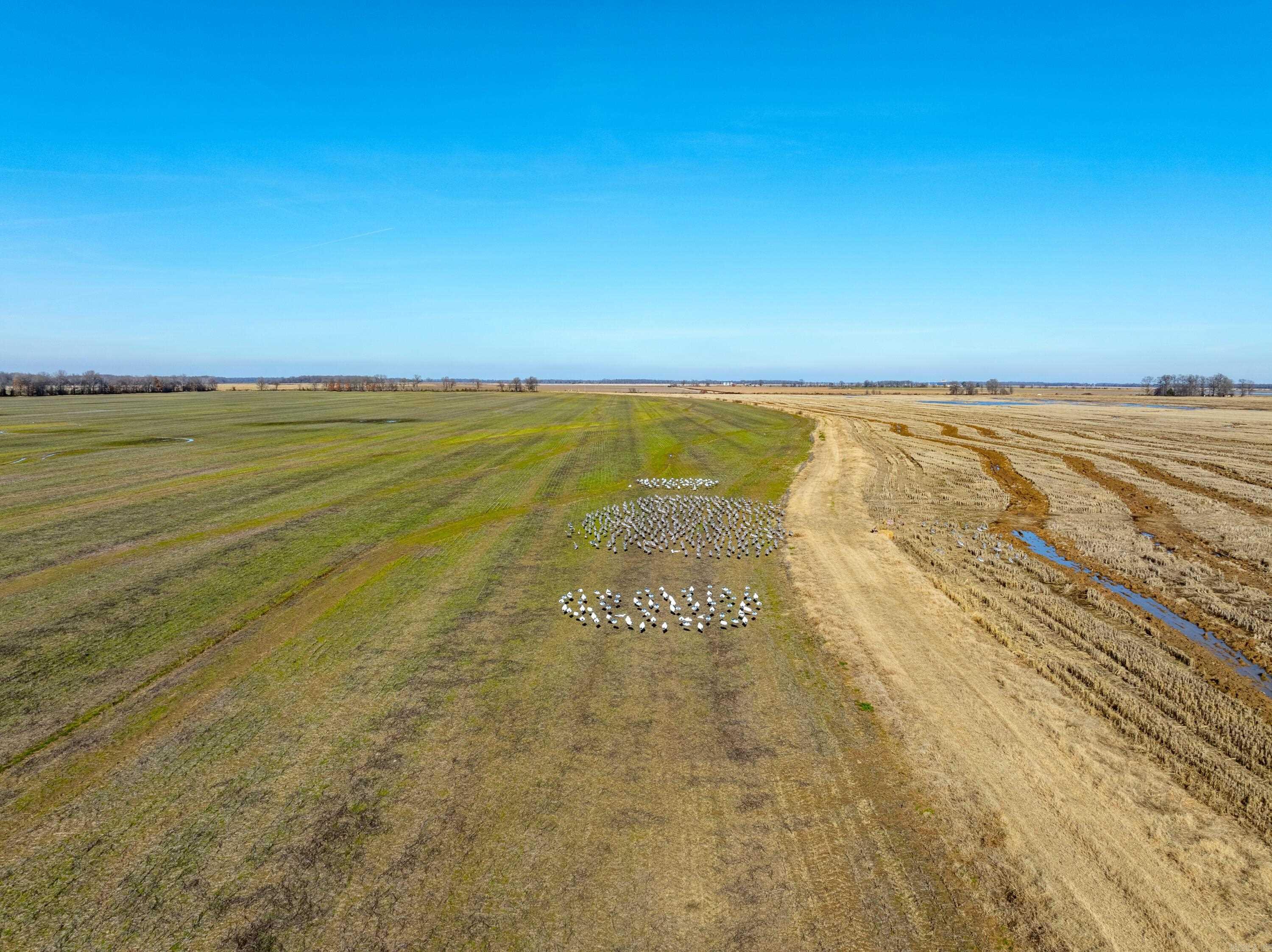  County Road 136  Hickory Ridge, AR