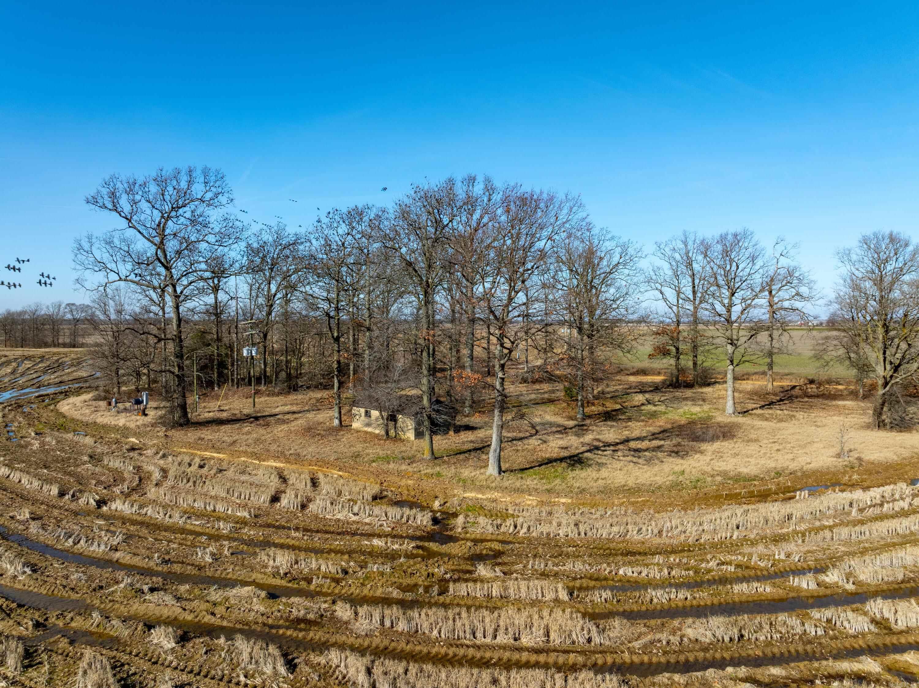  County Road 136  Hickory Ridge, AR