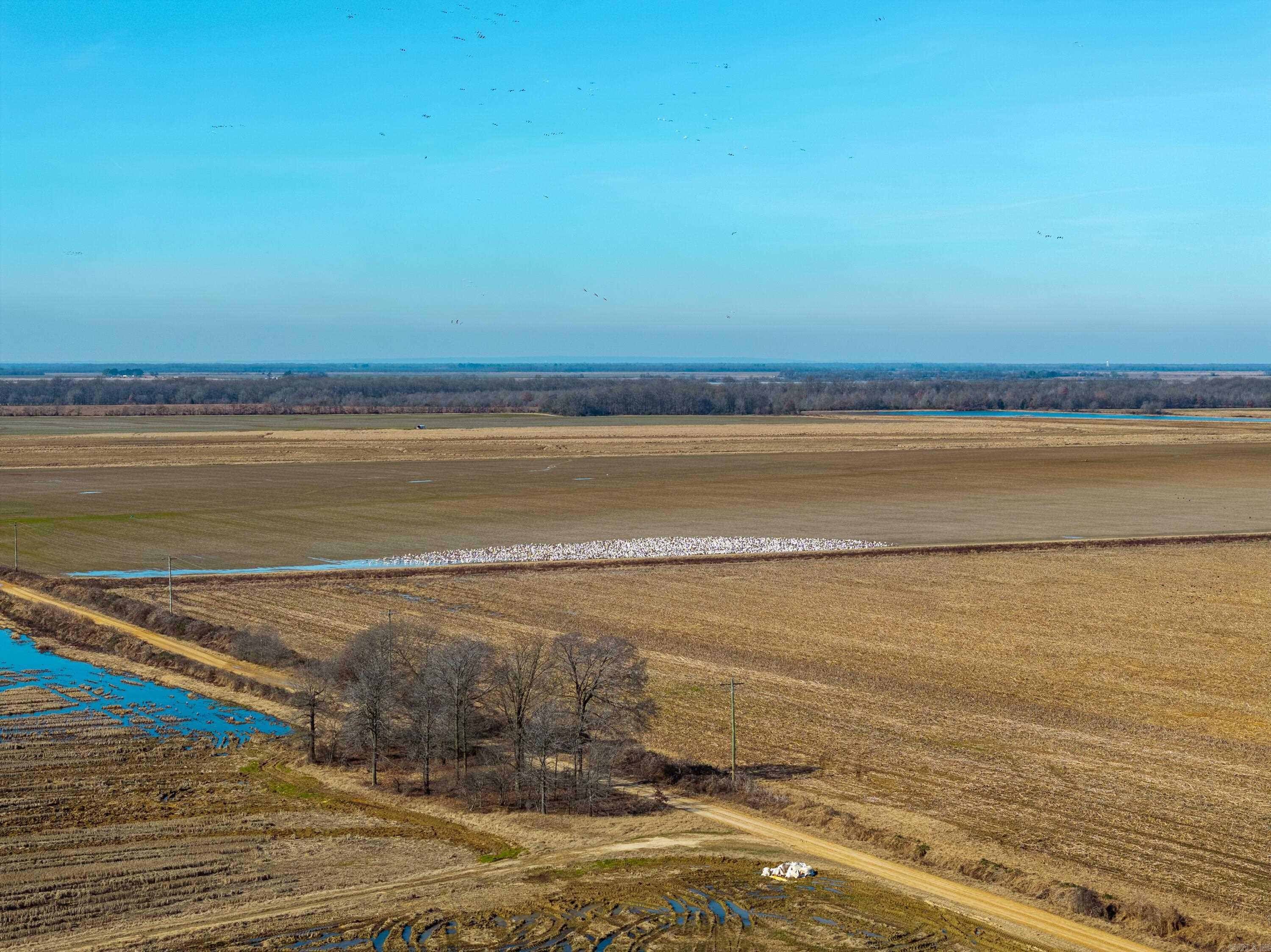  County Road 136  Hickory Ridge, AR