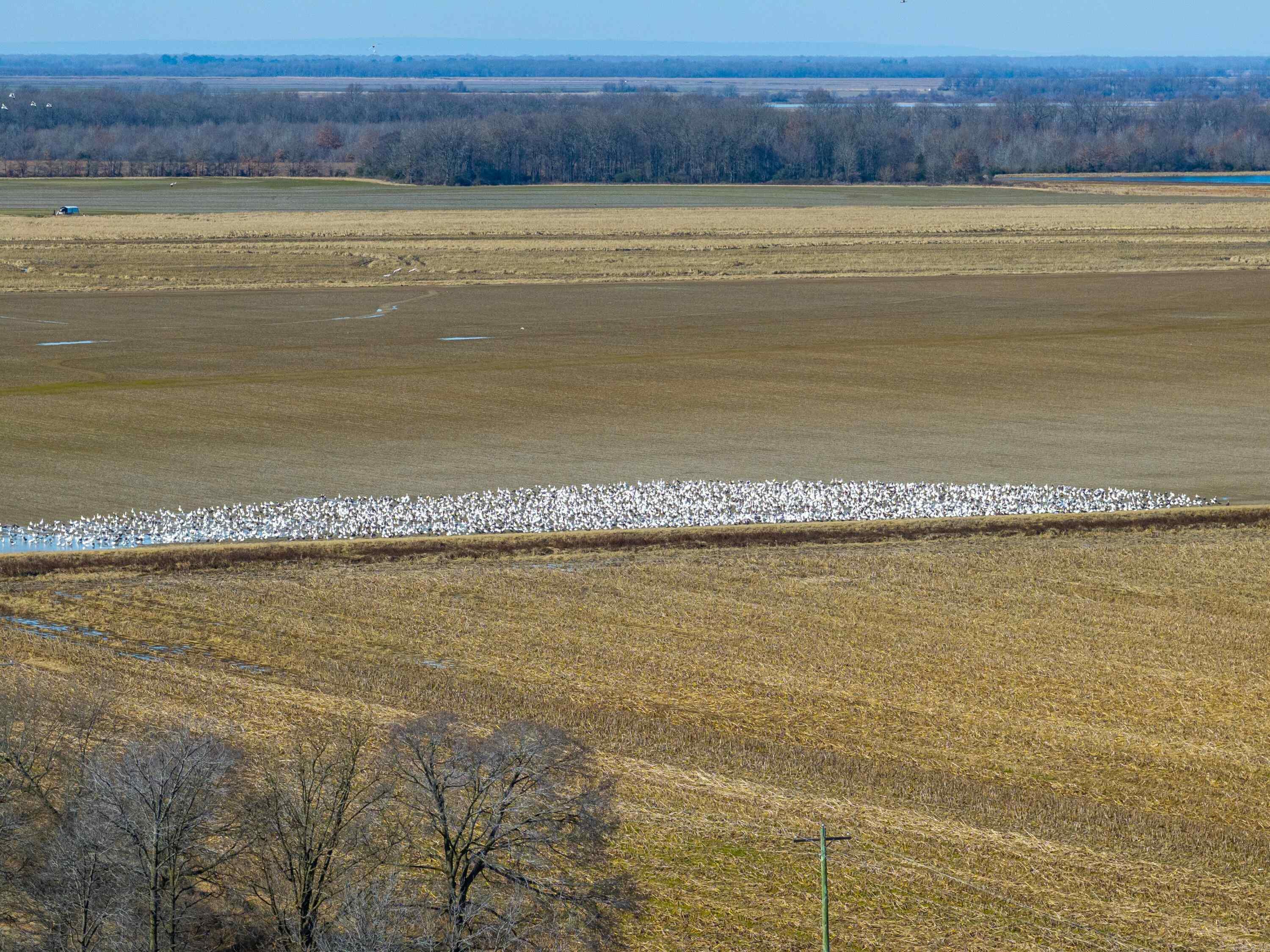  County Road 136  Hickory Ridge, AR